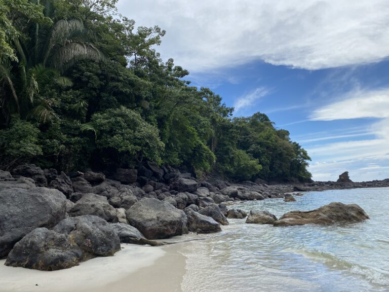 Guide to Visiting Manuel Antonio National Park in Costa Rica