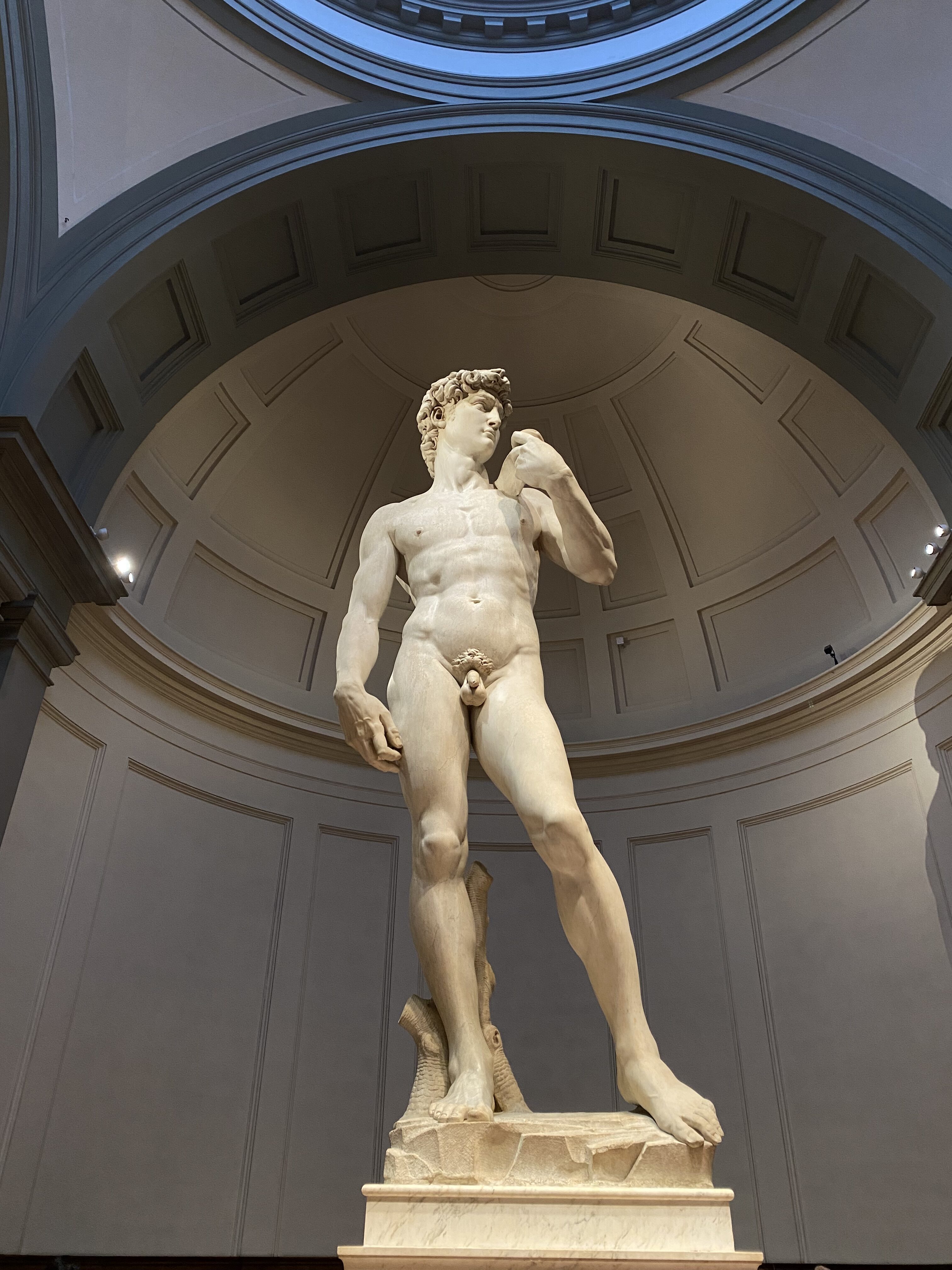 Michelangelo's David sculpture in Galleria dell'Accademia.