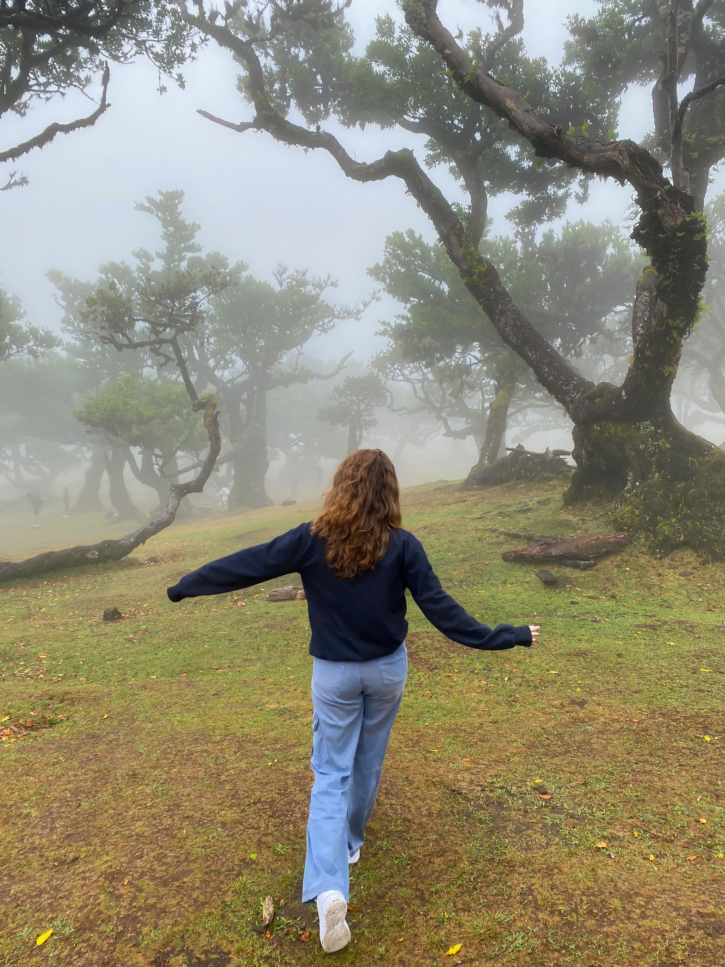 Bella struts in the Fanal Forest, a mystical, foggy high elevation forest.