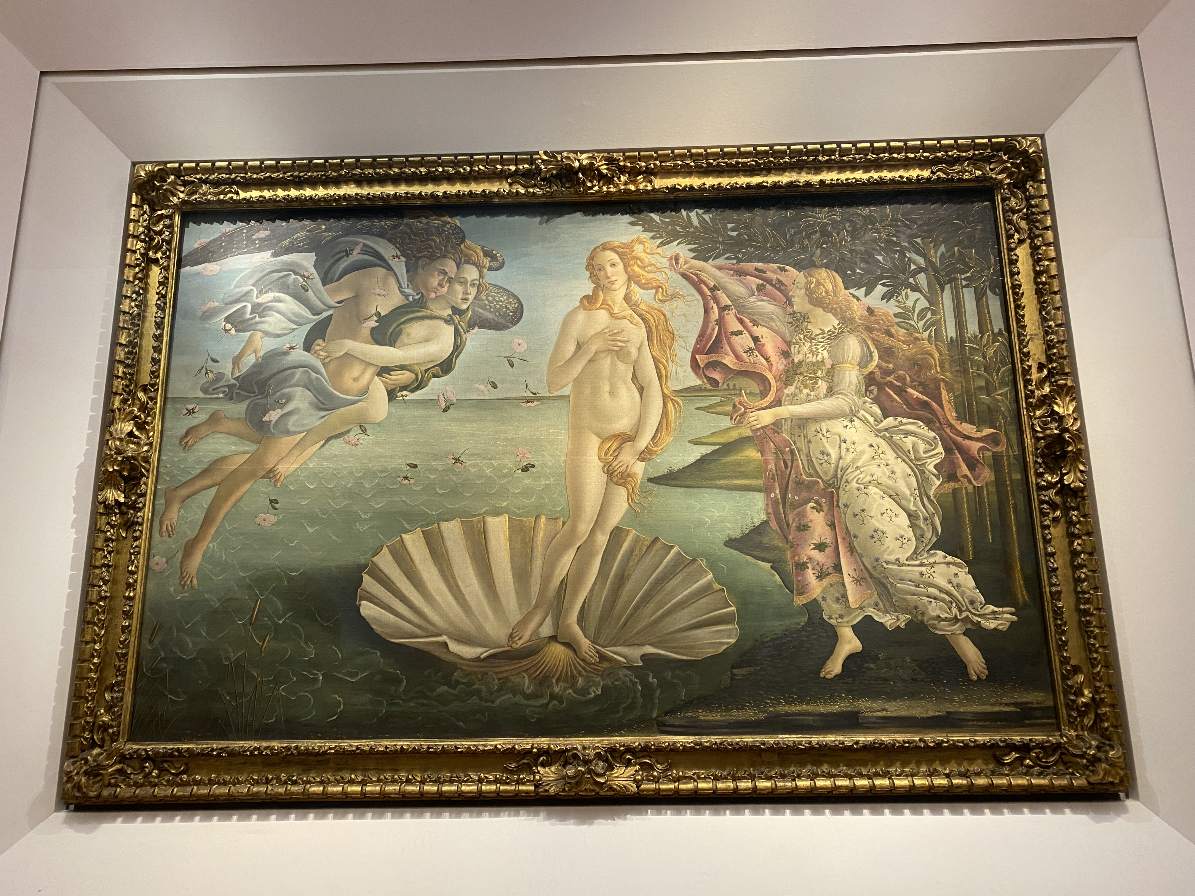 Botticelli's Birth of Venus tempera painting.
