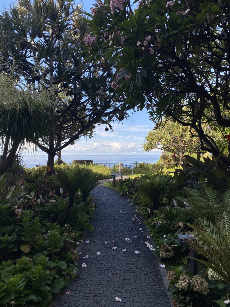 A shadowed stone walkway decorated with flower petals at the Cliff Bay Hotel in Funchal.