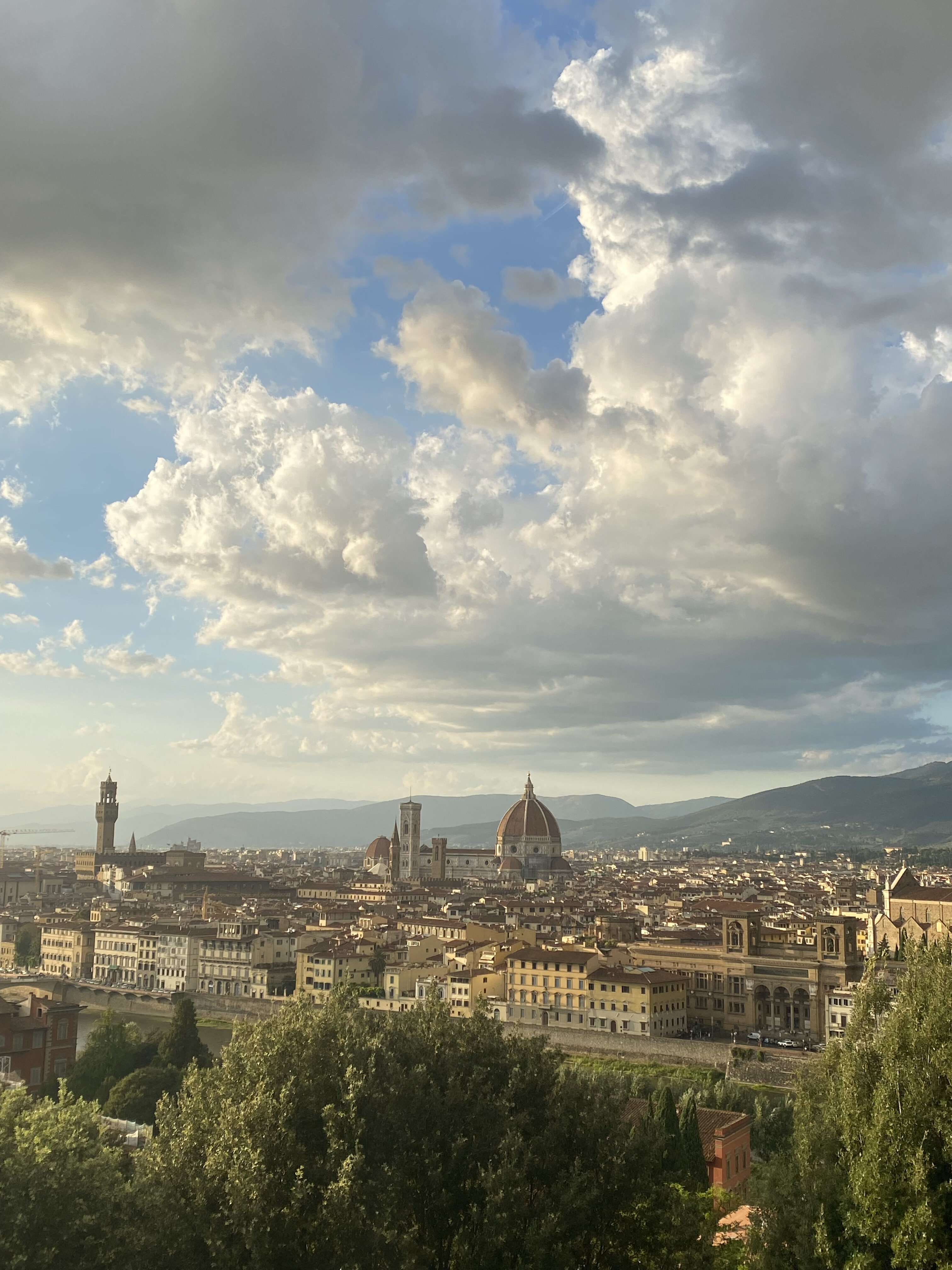 The beautiful Florentine skyline with a cloudy blue sky.