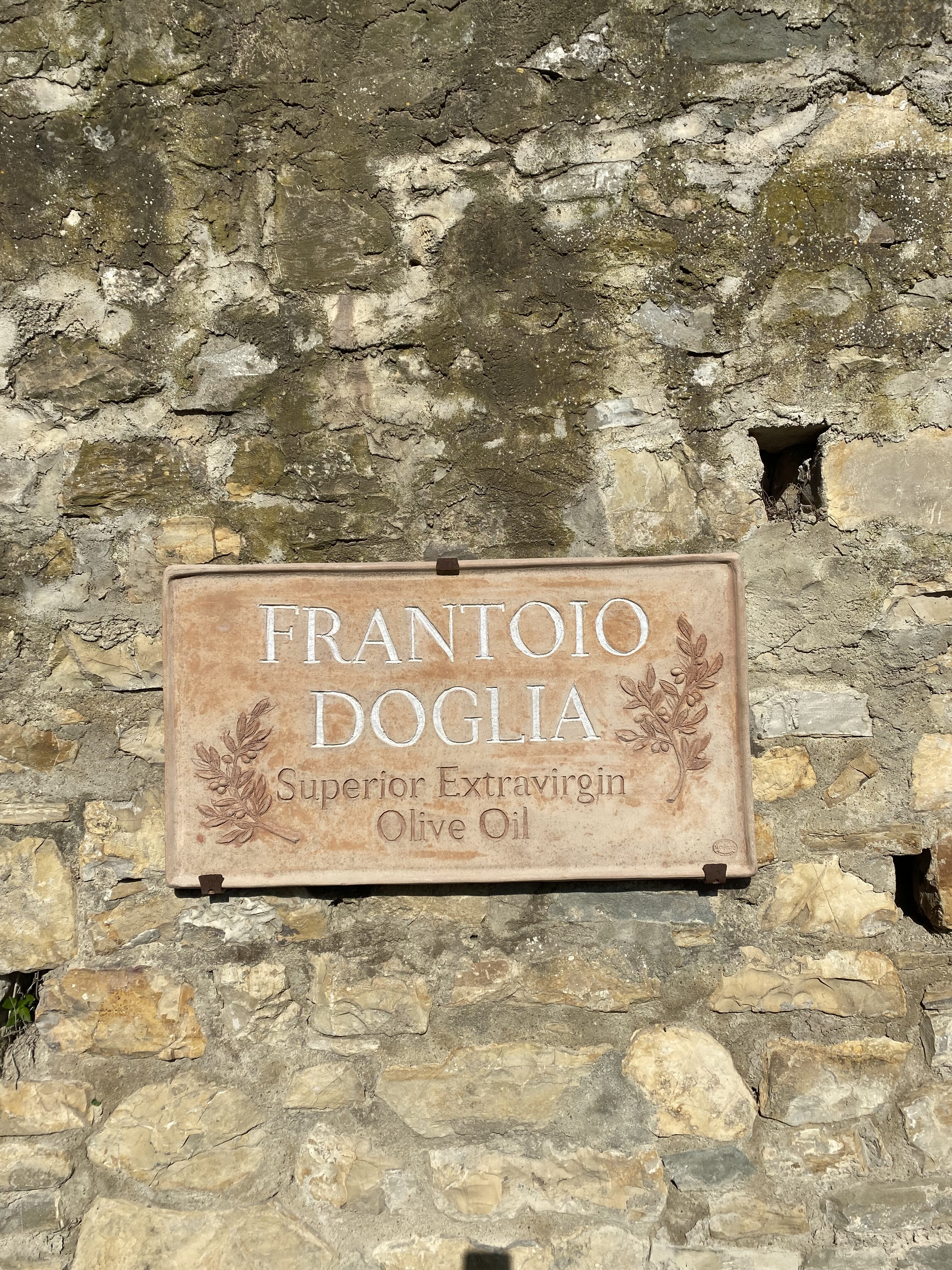 A weathered brown sign that says, "Frantoio Doglia, Superior Extra Virgin Olive Oil", set against a weathered brick wall.