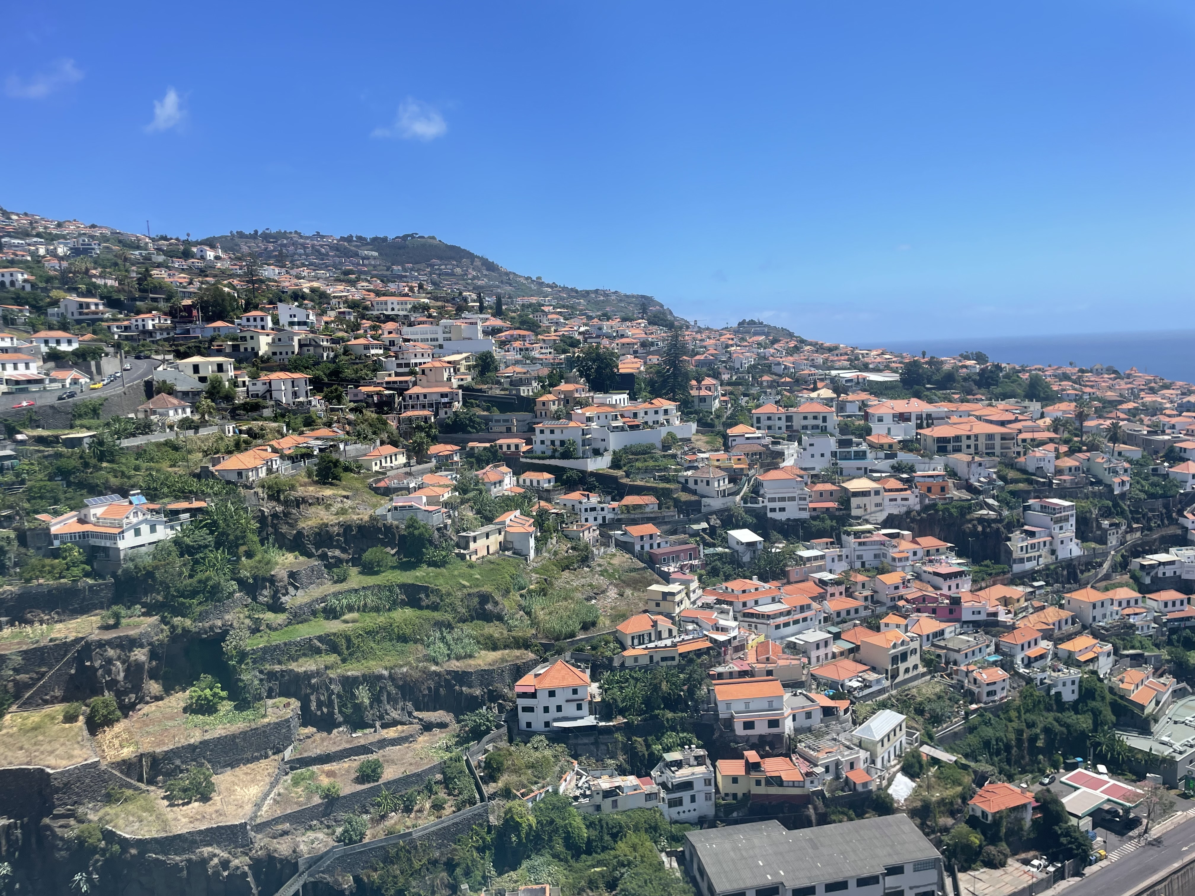 A vibrant green hillside in Funchal with a bright blue sky. All across the hillside, buildings with bright orange roofs dapple the topography.