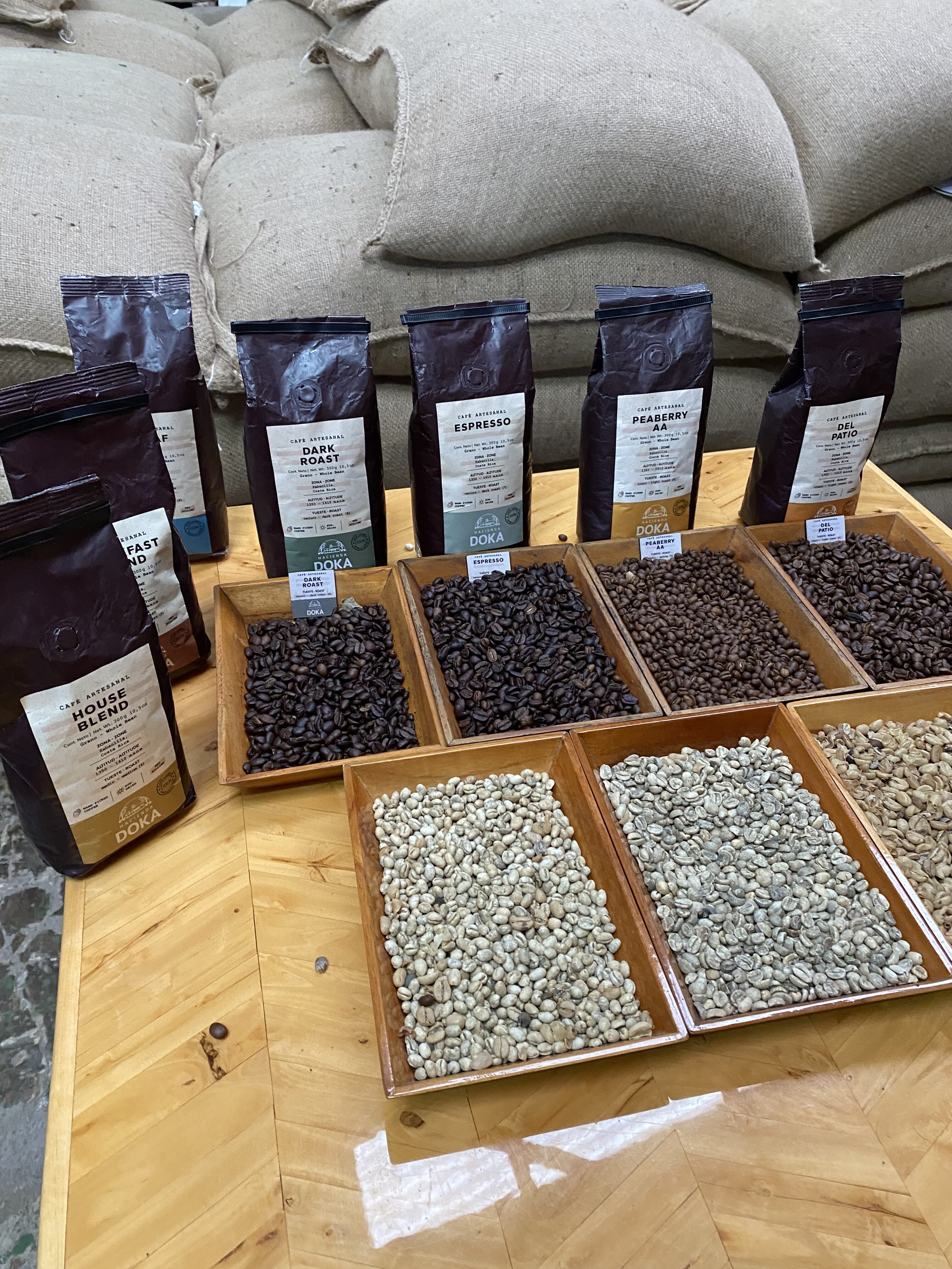 A selection of roasted coffee beans from Hacienda Doka with un-roasted beans in trays in front of the roasted beans. Burlap bags containing beans can be seen behind the display.