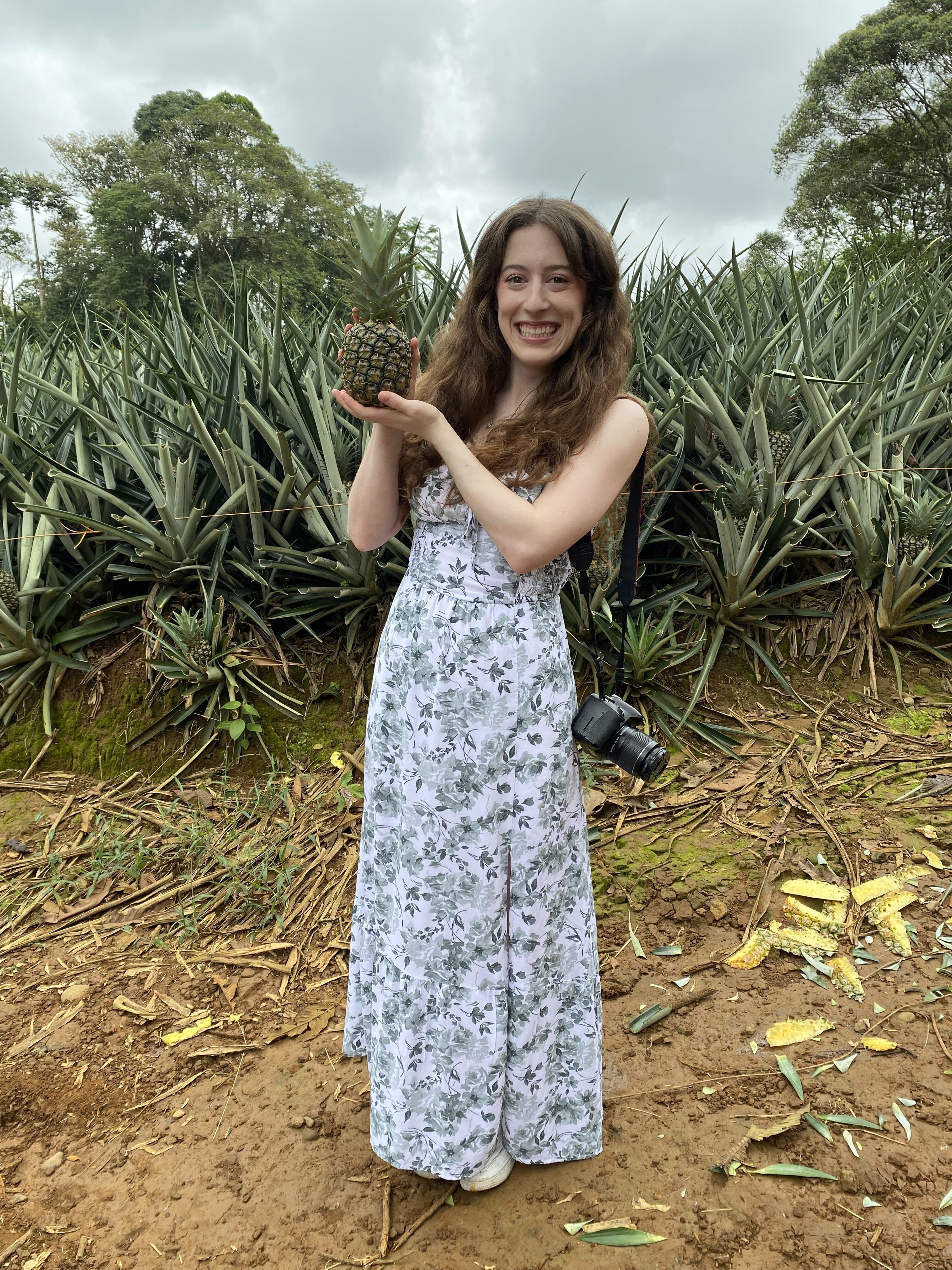 Bella holding a baby pineapple at a local pineapple farm in Costa Rica.
