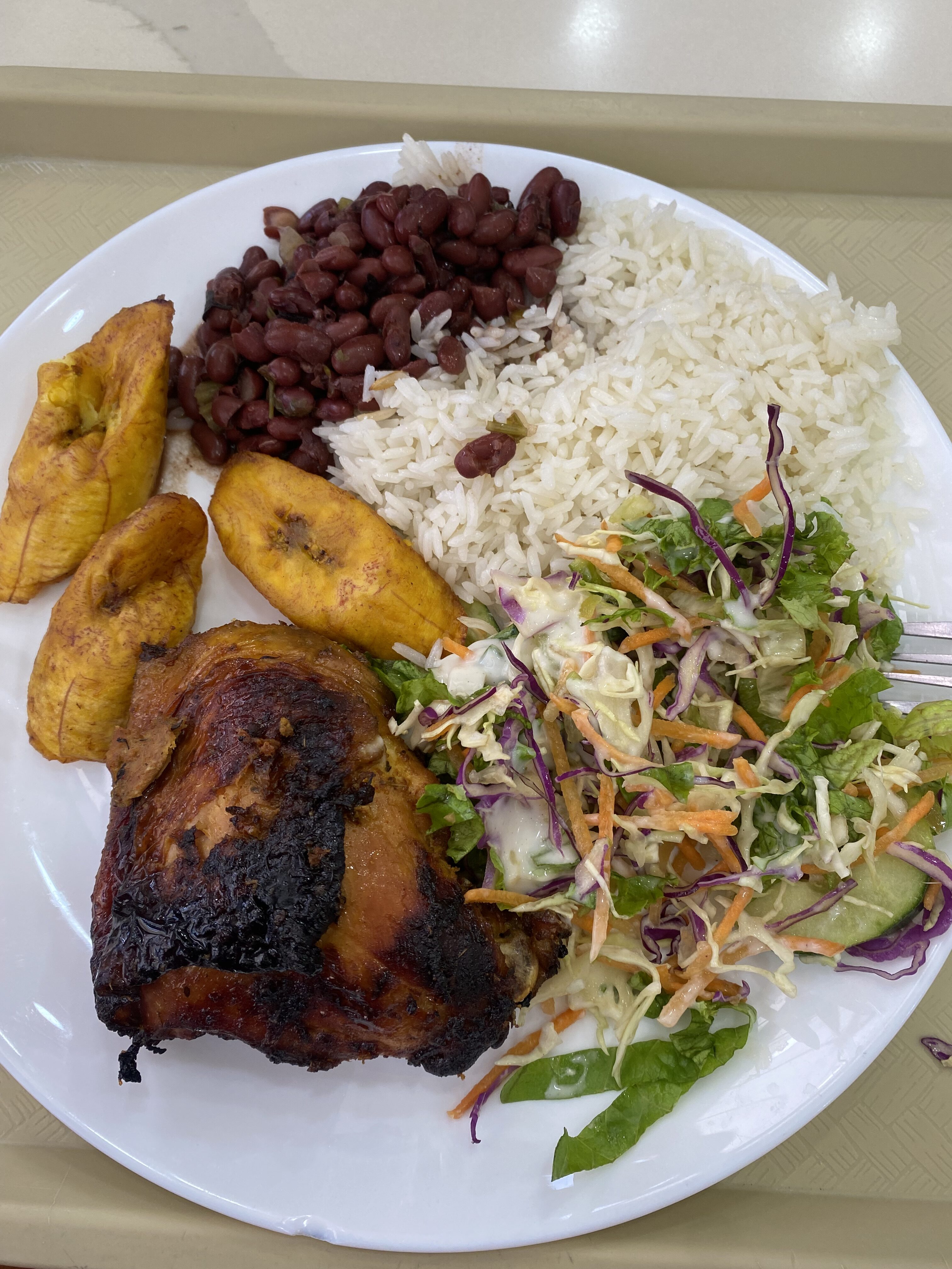 A plate of delectable Costa Rican cuisine including rice and beans, a chicken thigh, a mixed greens salad, and plantains!