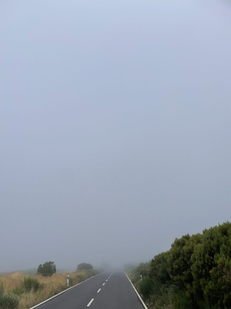 A road along Madeira's largest plateau, Paúl da Serra, with fog covering the sky and the road ahead.