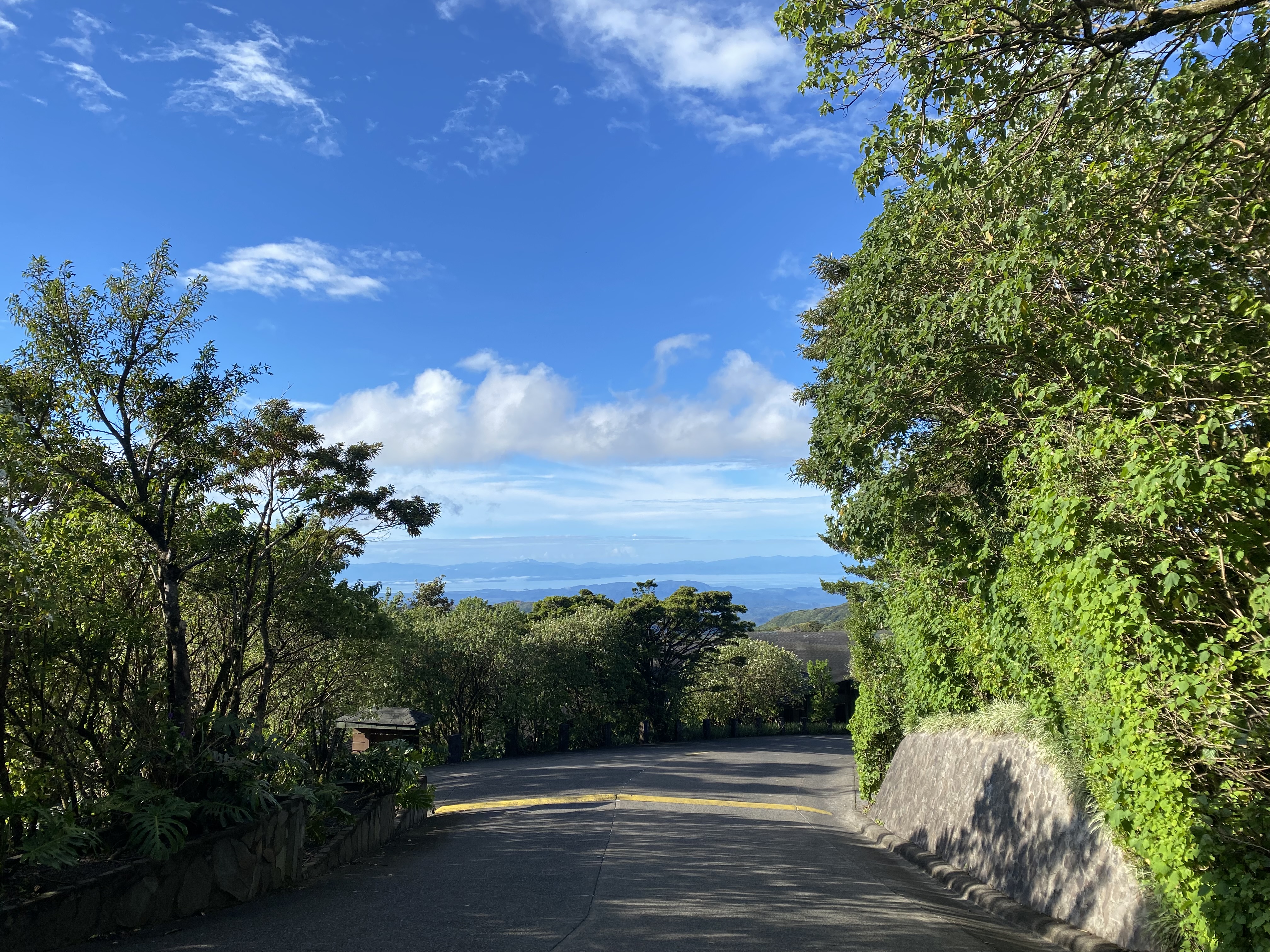 A beautiful view of lush greenery on the side of a road, with the hilly regions of Monteverde in the distance.