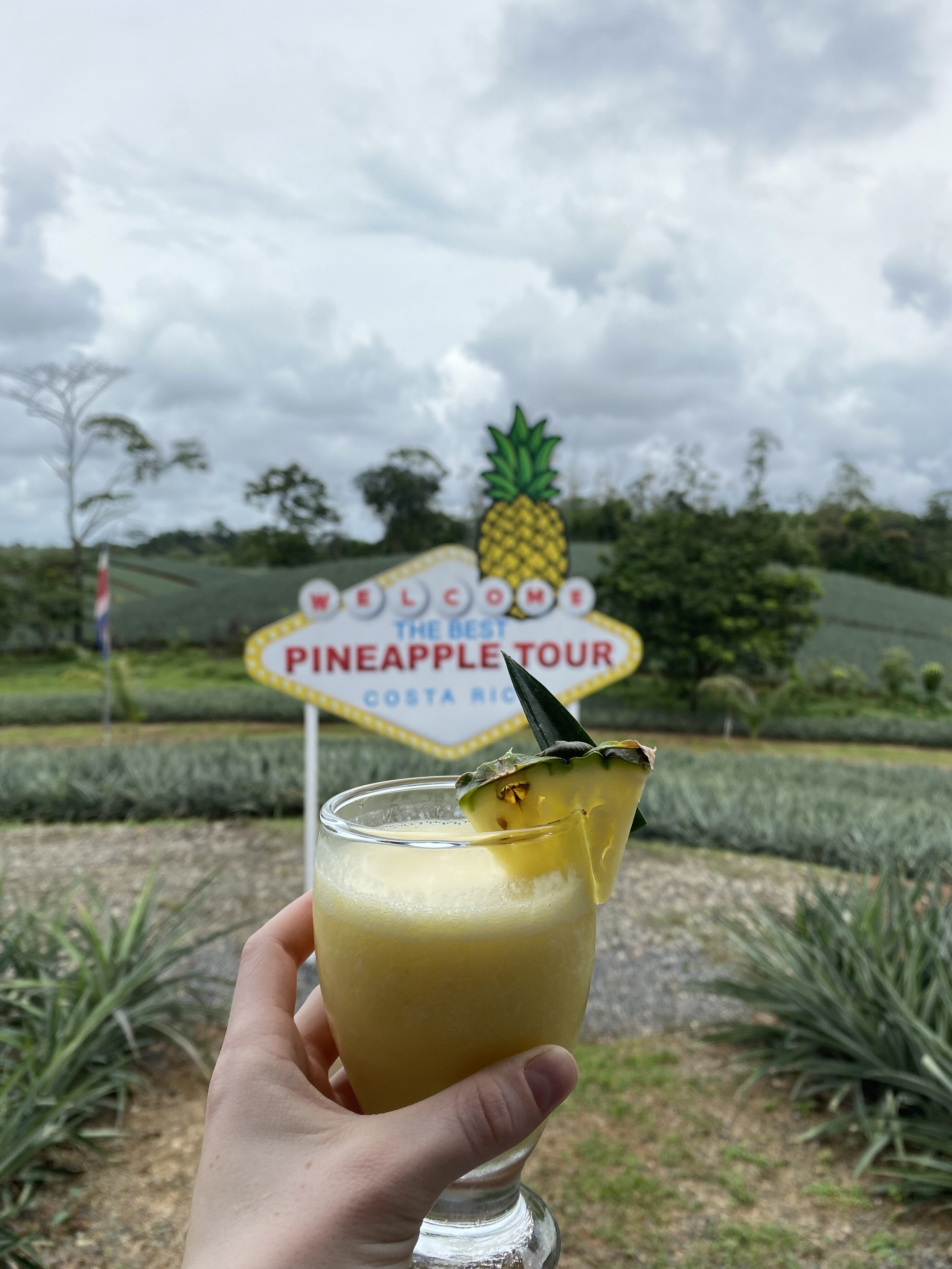 A piña colada with a pineapple on the rim in front of a sign that looks similar to the "Welcome to Las Vegas" sign but reads "Welcome to the Best Pineapple Tour".