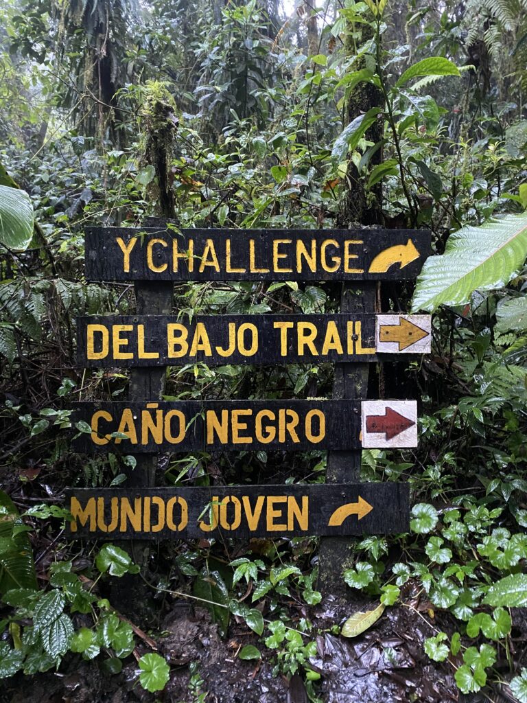 Trail signs in the Santa Elena Cloud Forest.