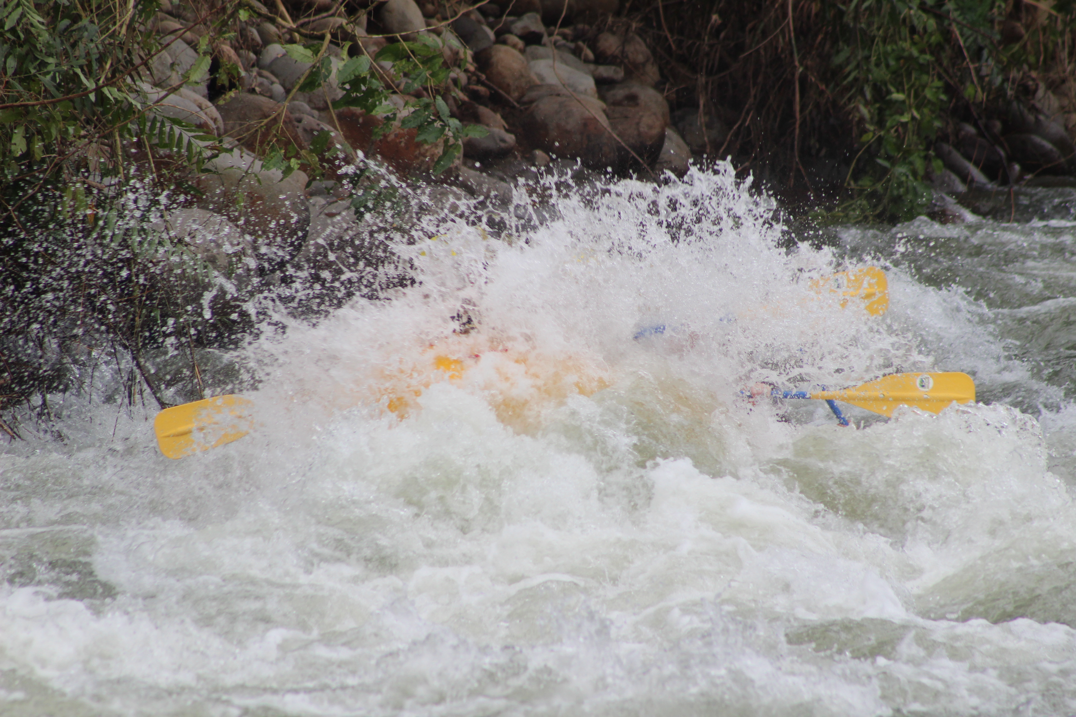 A swell of water covering a yellow rafting. Only the yellow paddles can be seen through the splash!