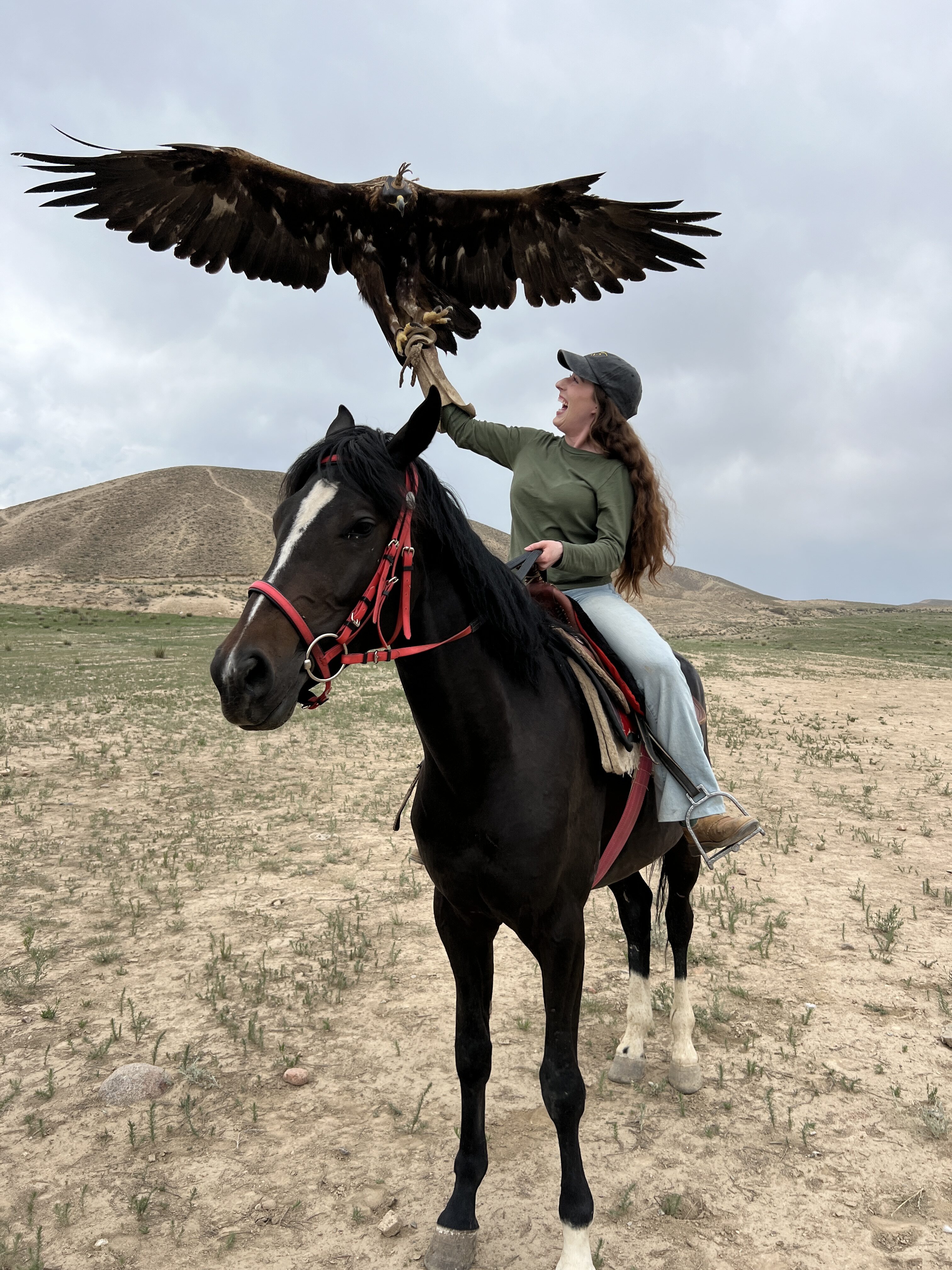 Bella, sitting on a beautiful dark brown horse, holding an eagle spreading its wings. She looks up in awe.