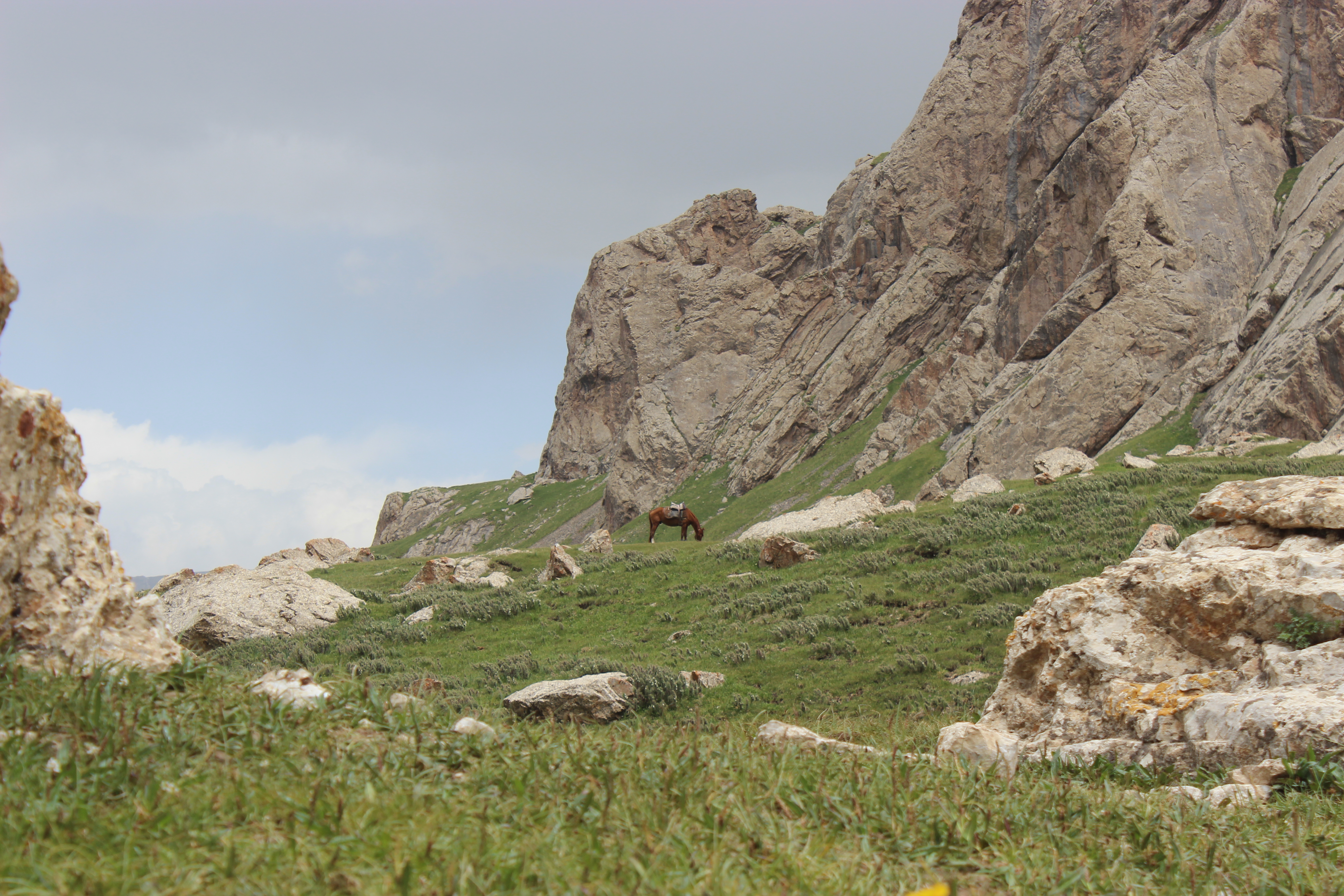 A horse on a hill among the rock formations at Kel Suu lake.