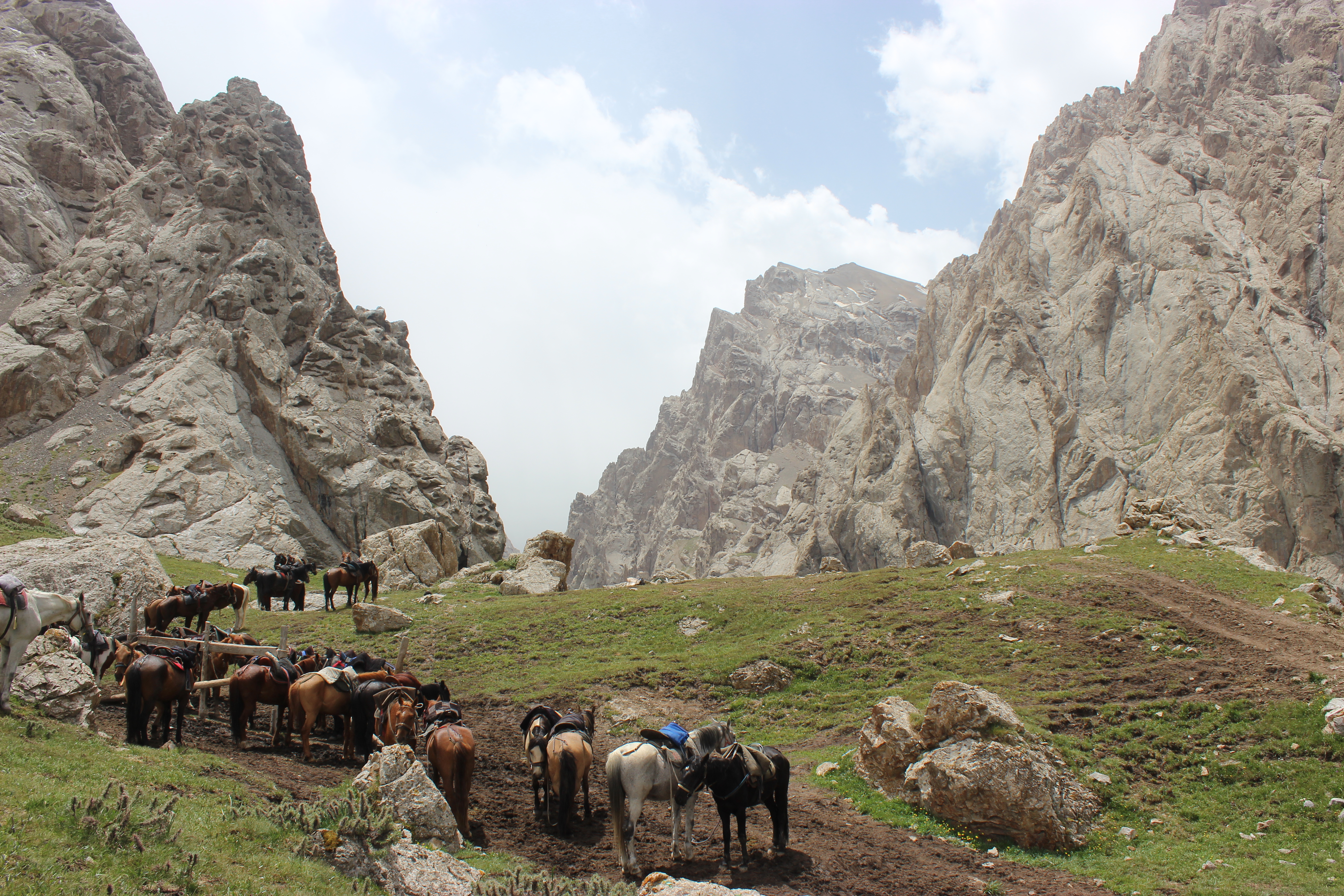 Horses grouped together beneath the jagged rocks of Kel Suu lake.