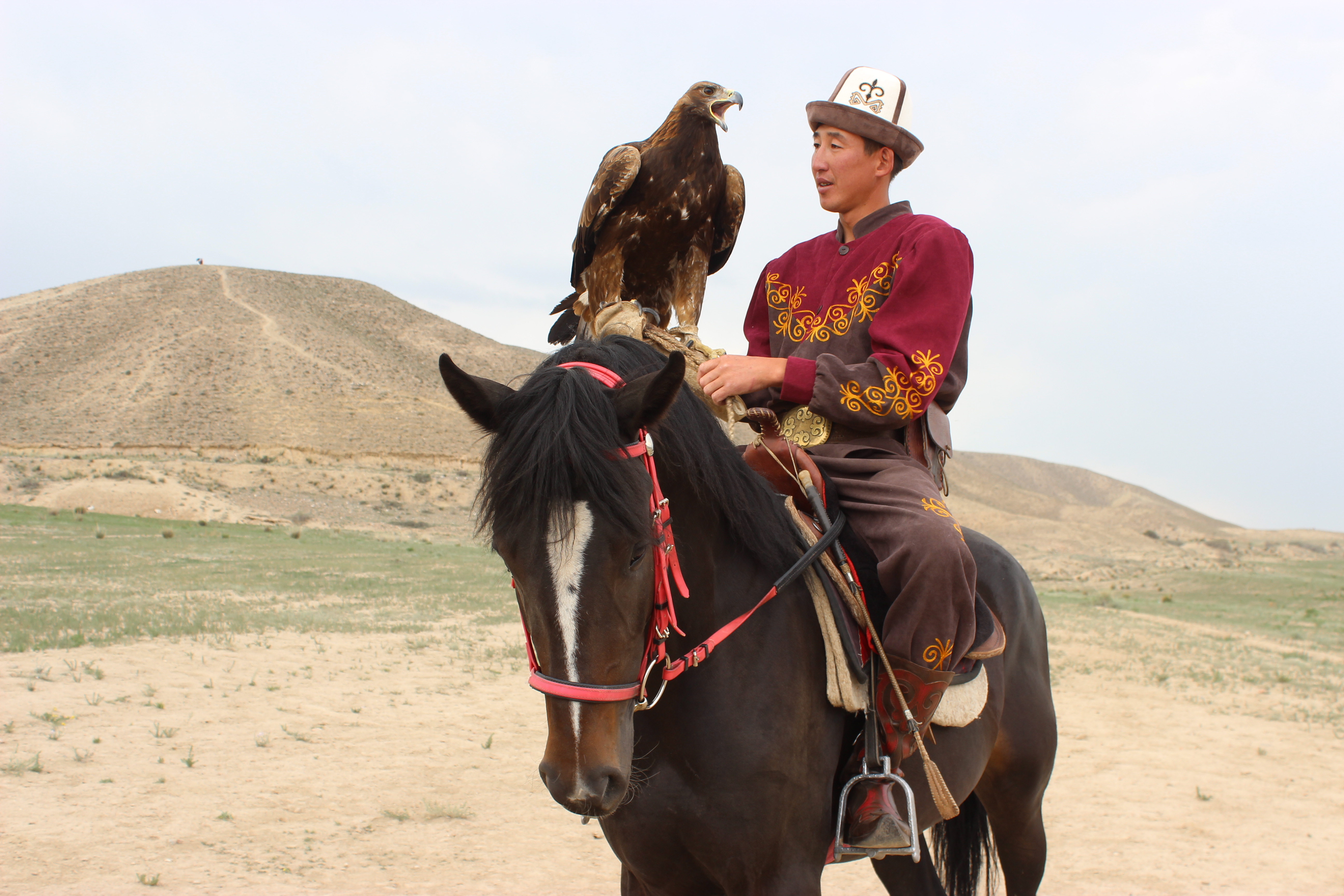 Kyrgyz eagle hunter.