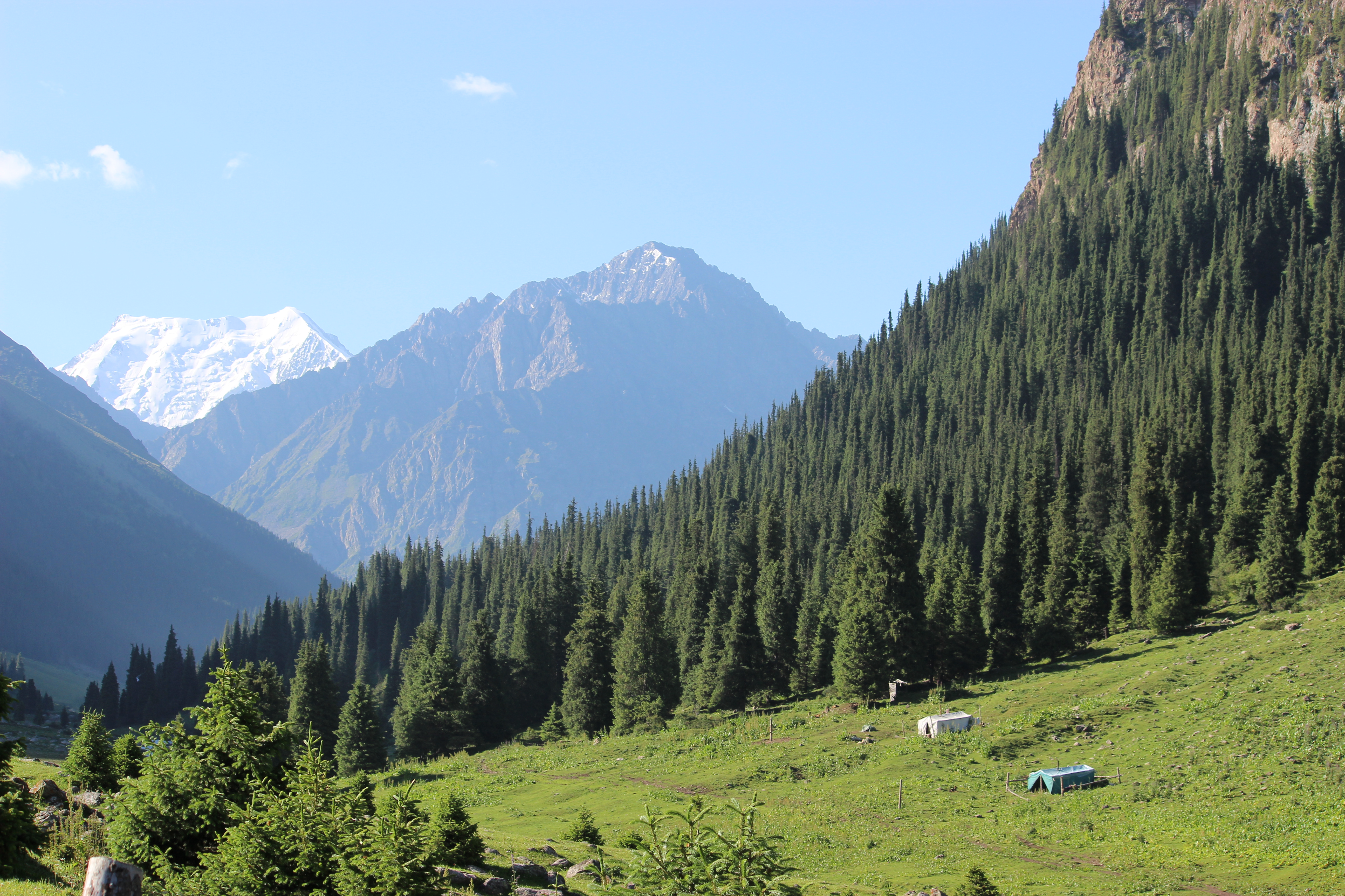 A stunning green mountainside in Kyrgyzstan (Altan Arashan) in front of a bluish mountain with the glaciers behind it. 