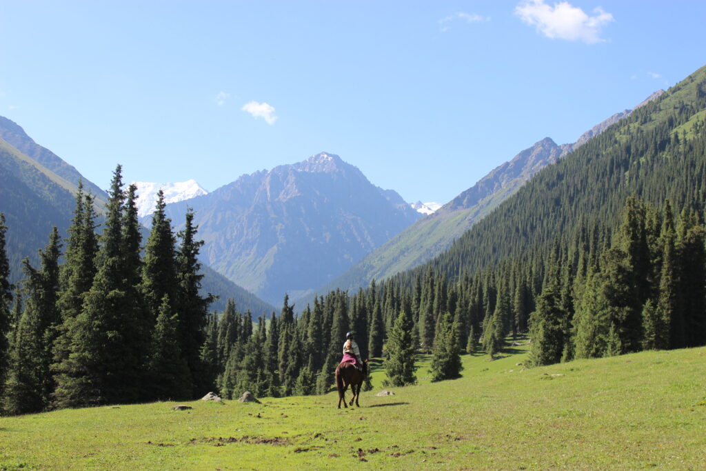 A horseback riding among the pine trees in Altyn Arashan, with monumental peaks in the background.