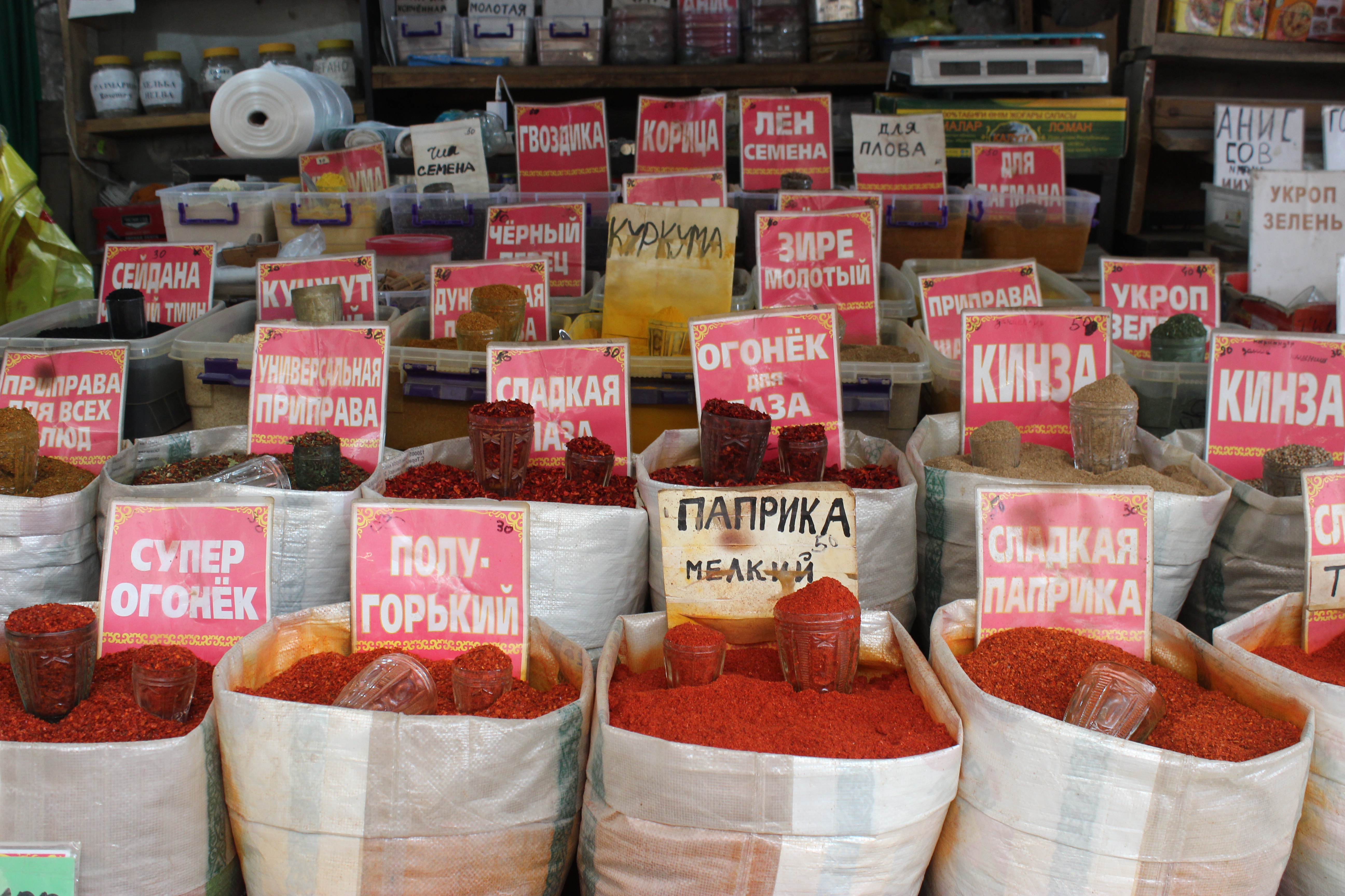 A collection of spices with their Kyrgyz descriptions at the Osh Bazaar.