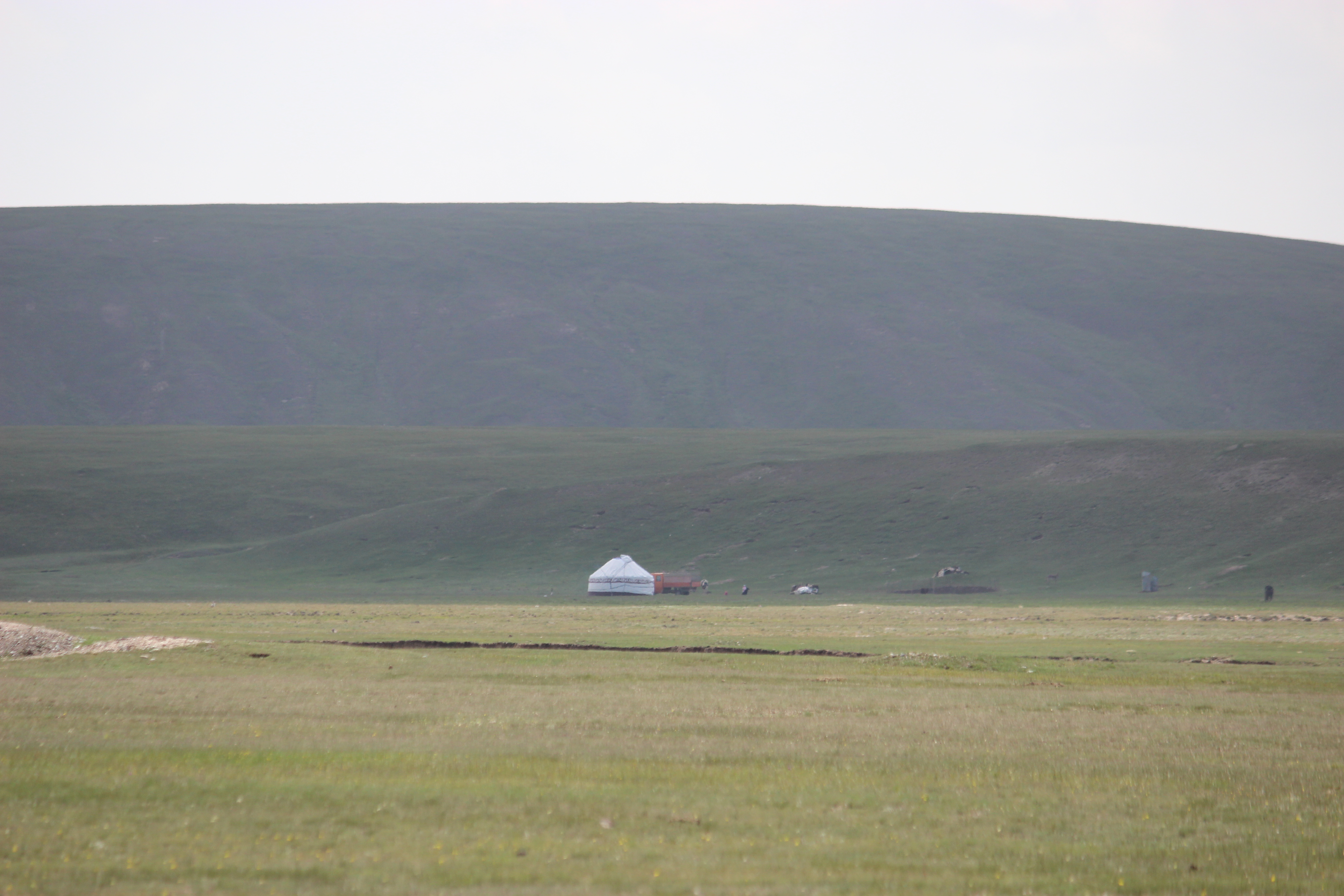 A single yurt in a grassy plain in Kyrgyzstan.