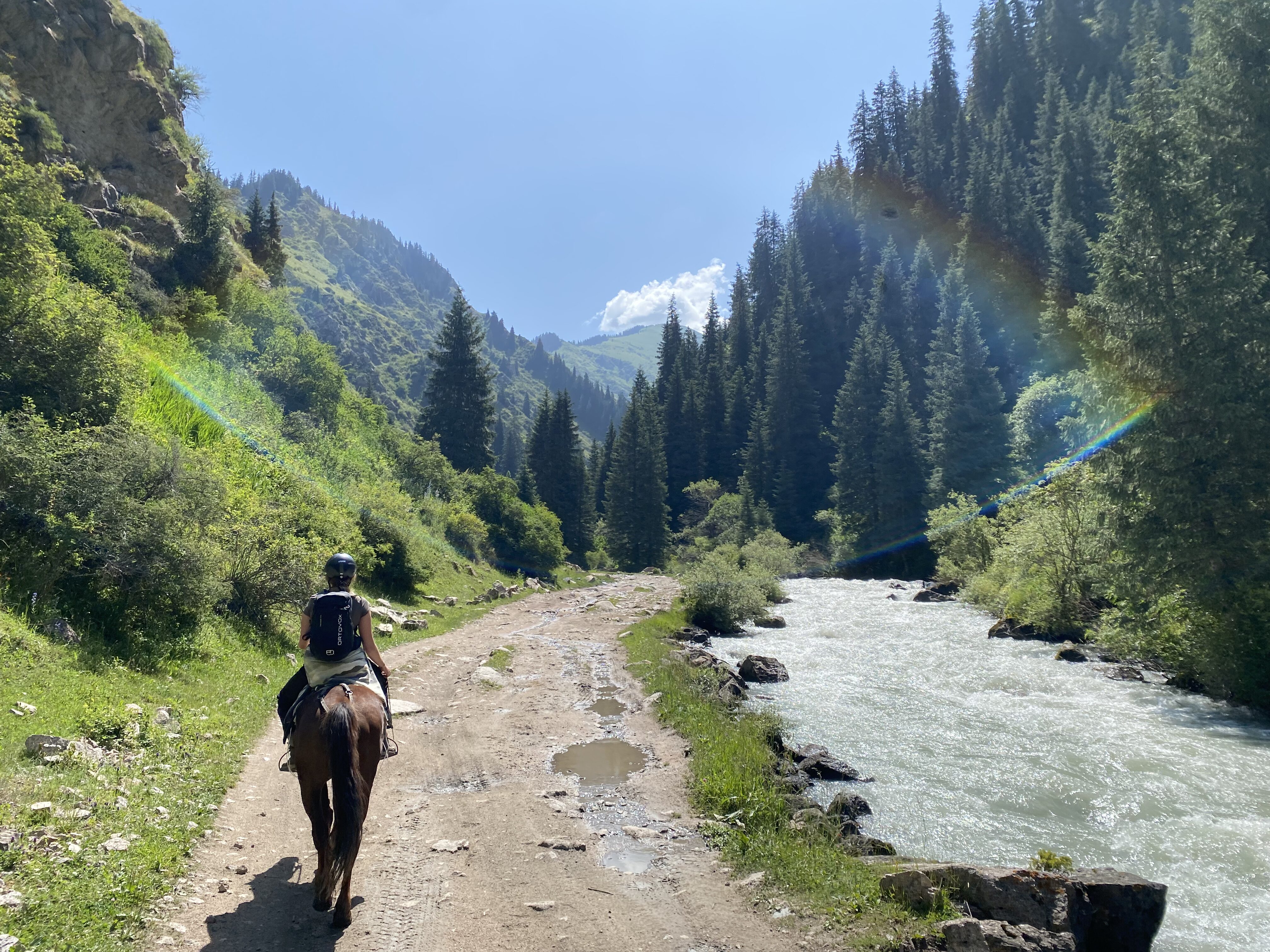 A horseback rider riding along a rushing river among pine trees outside of Altyn Arashan. A rainbow reflection appears over the rider.