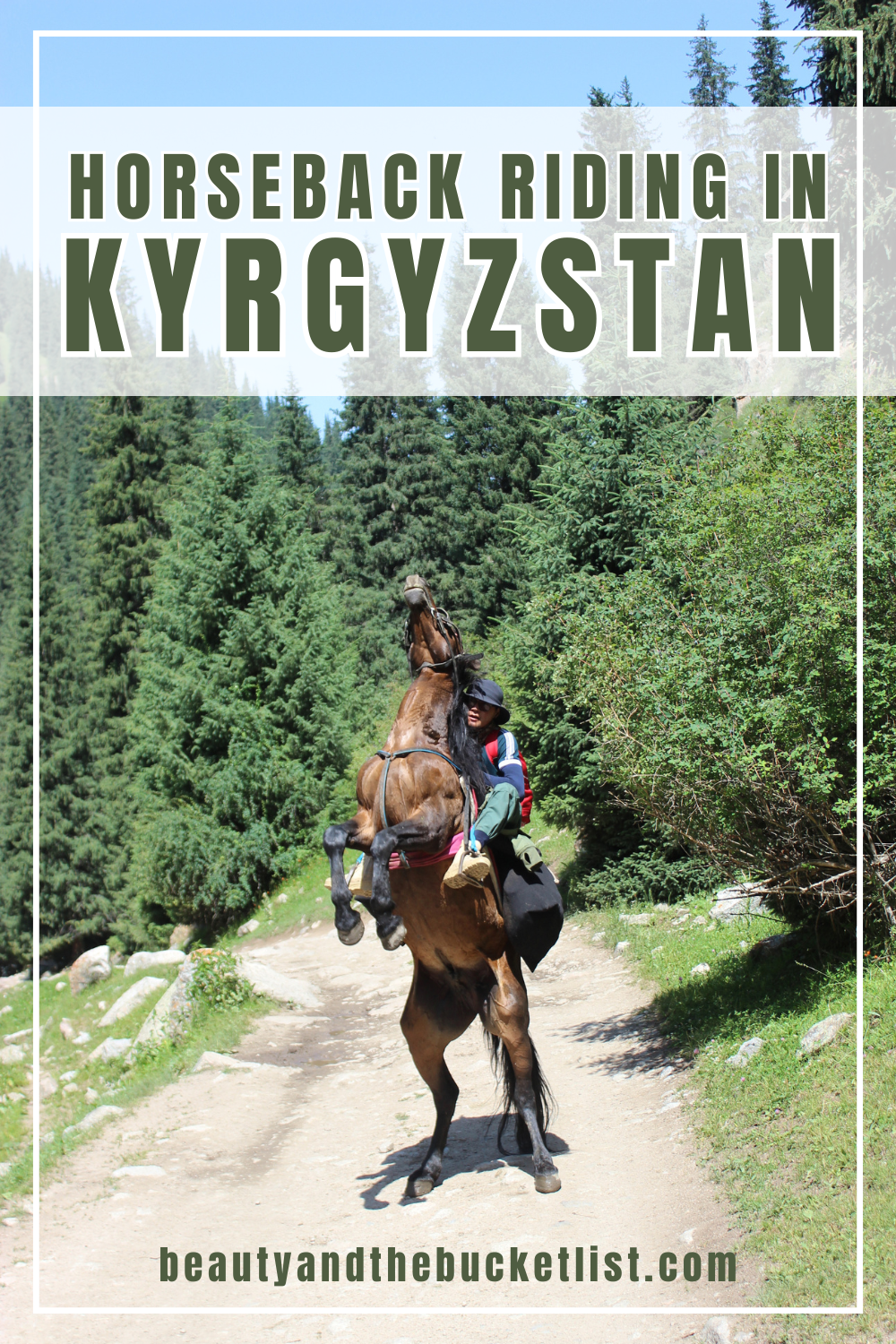 A graphic of a local Kyrgyz guide on a rearing horse in the dense pine forest of Altyn Arashan. The text reads "Horseback Riding in Kyrgyzstan" with the website title, beautyandthebucketlist.com at the bottom of the graphic.