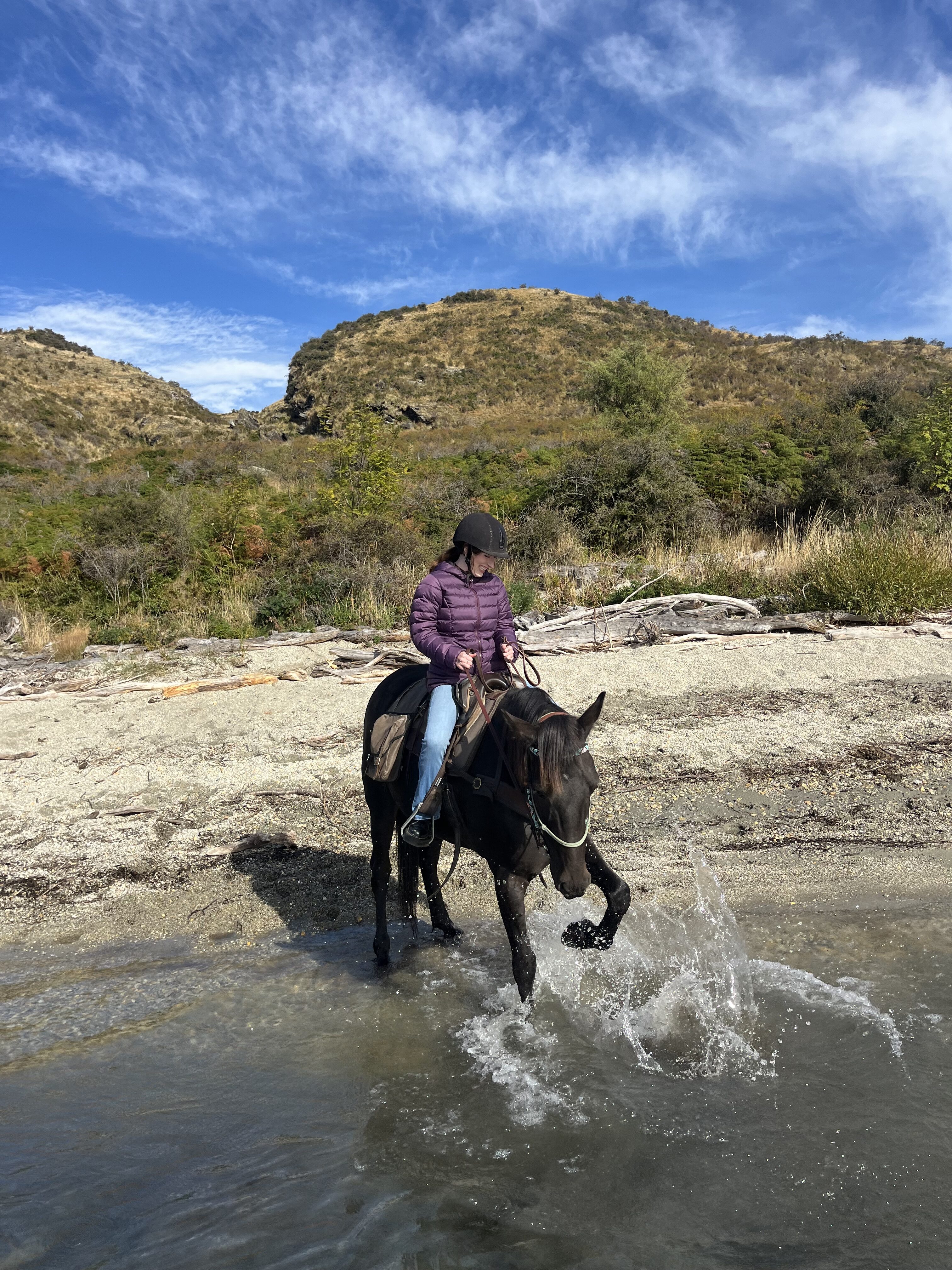 A horseback rider on a dark brown horse splashing in the banks of a lake in Wānaka.