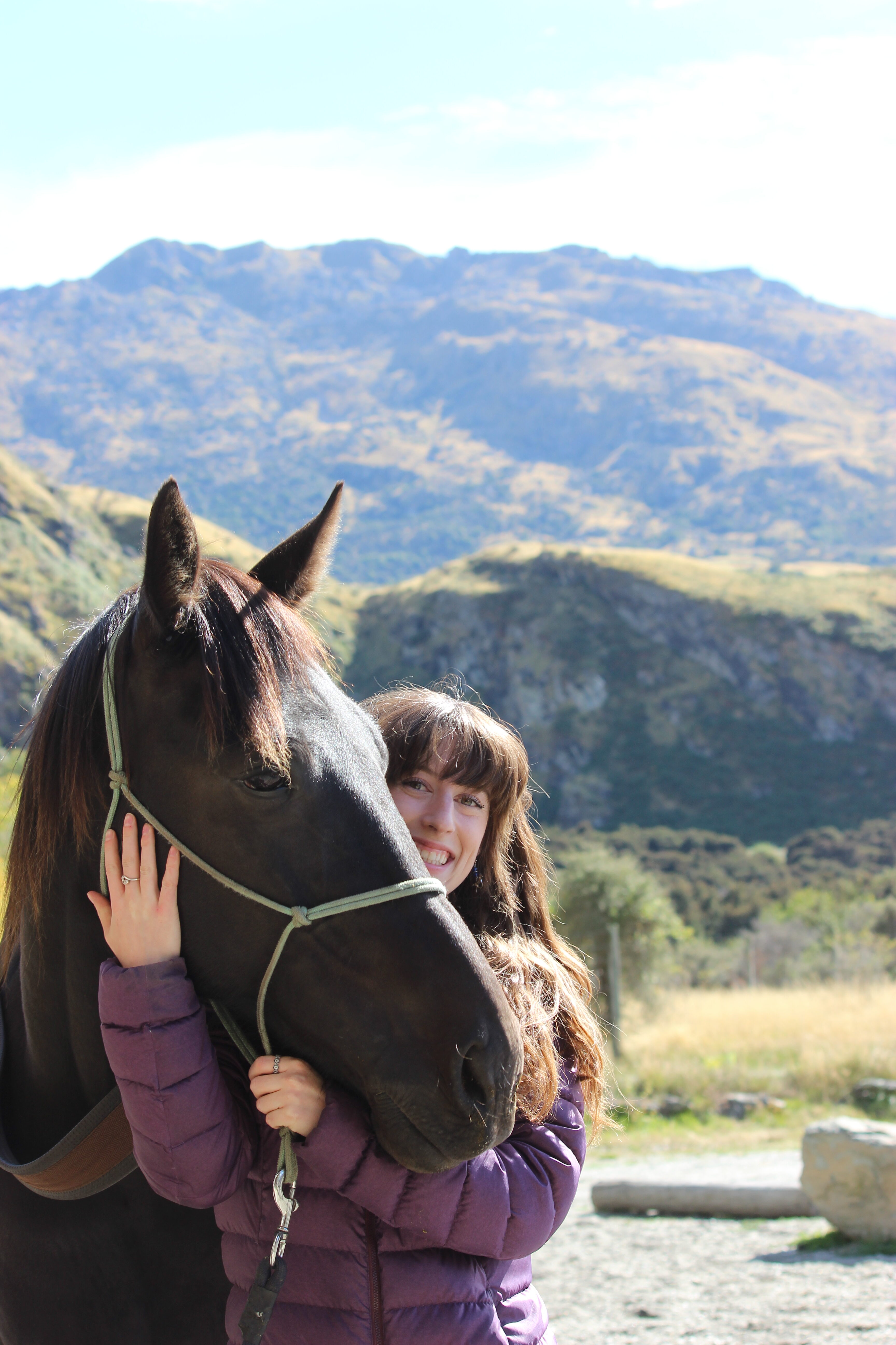 A young woman standing behind the head of a beautiful dark brown horse with scenic hillsides behind her.
