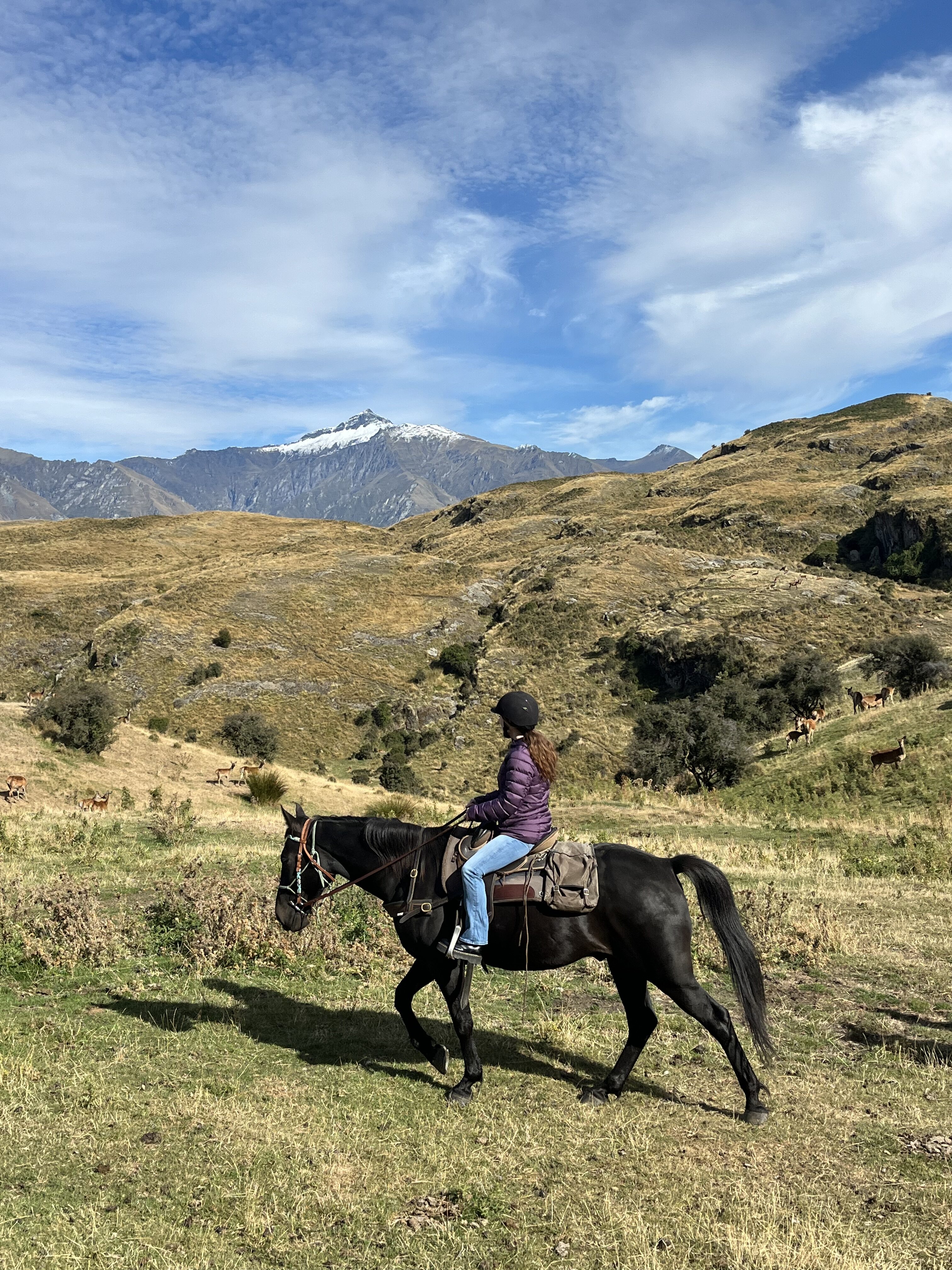 A horseback rider on a dark brown horse riding along a tan hillside, looking at the hillsides and mountains in the distance.