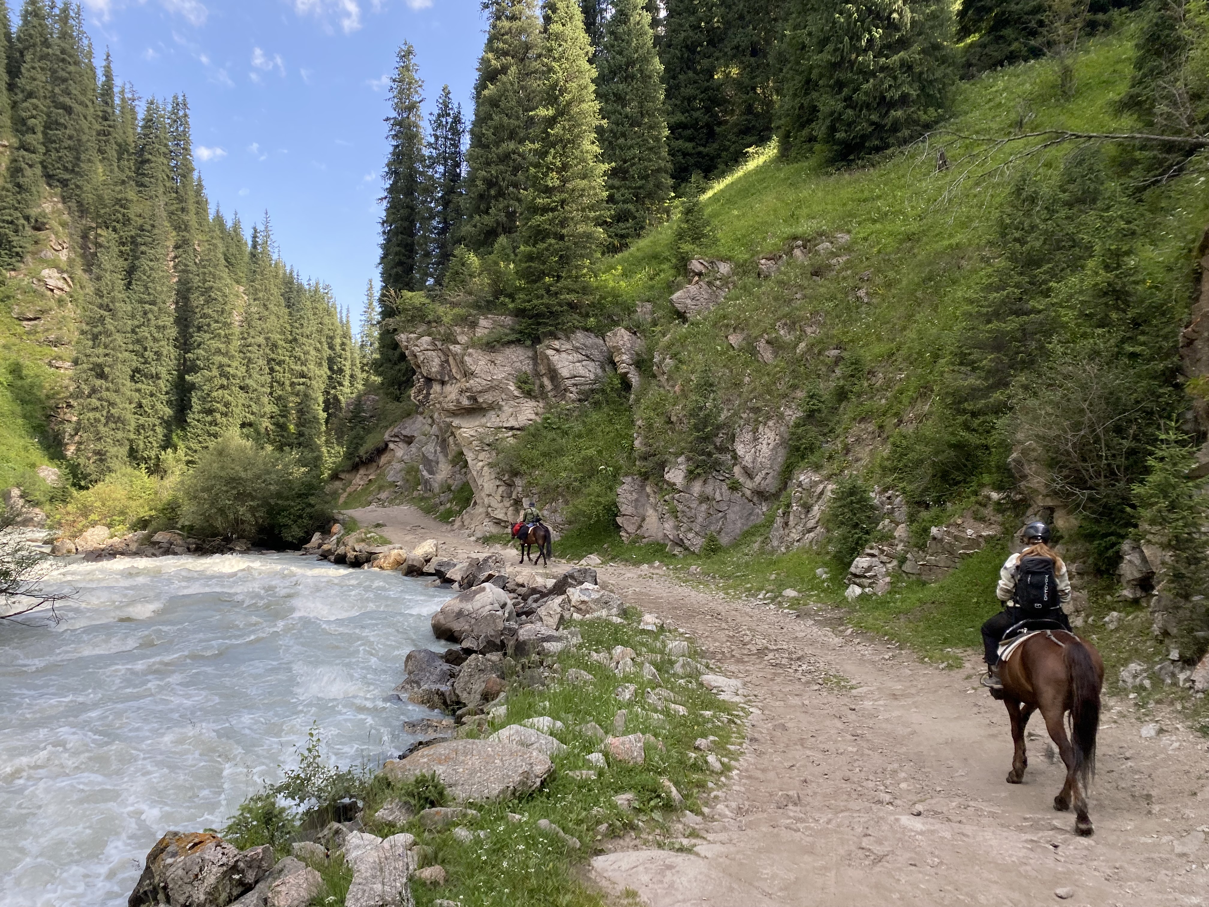 A young woman riding a dark brown horse along a raging grey river on the way to Altyn Arashan. Pine trees decorate the scene.