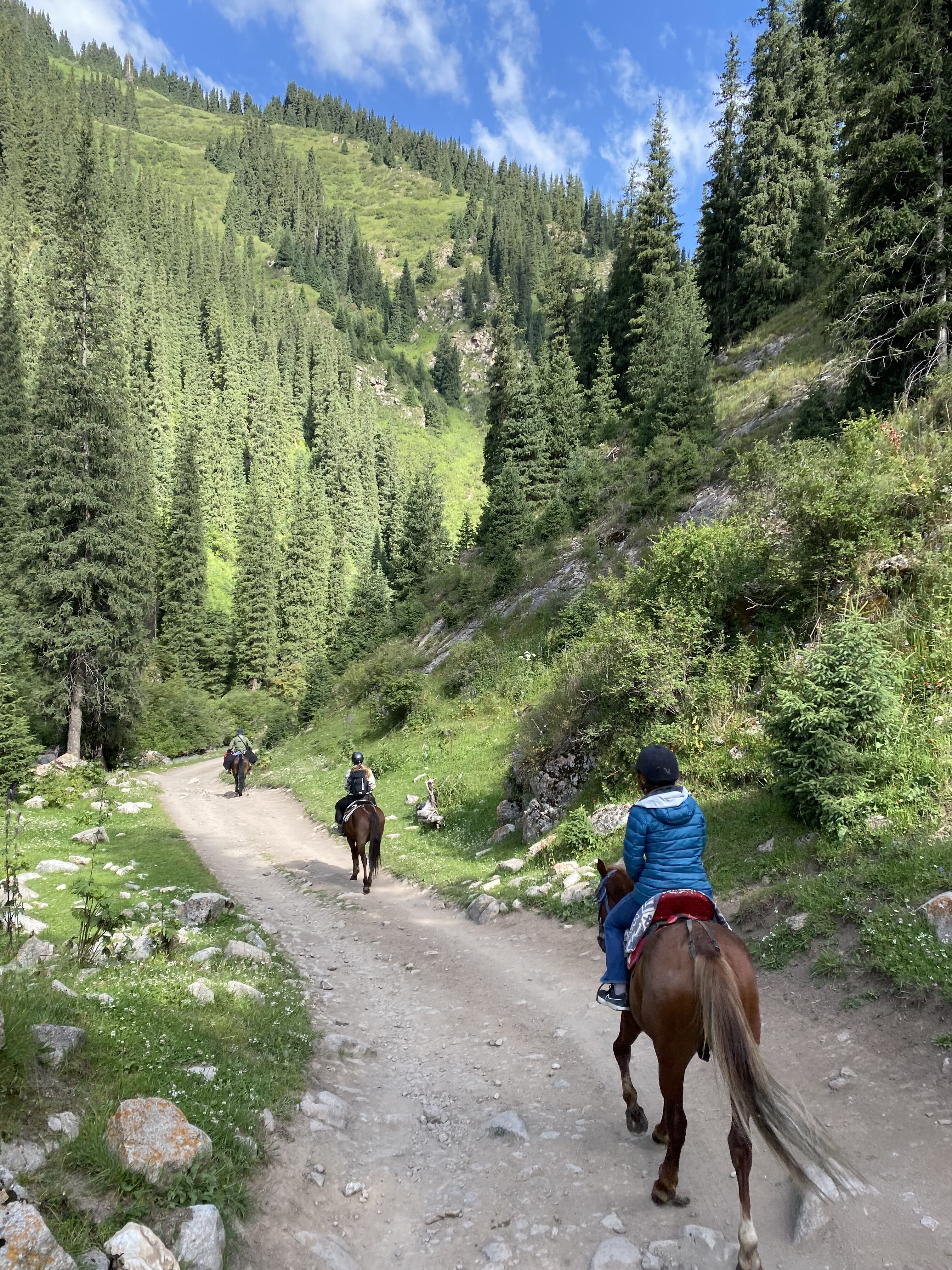 A group of horseback riders riding along a gravel trail, surrounded by pine-covered trees on the rising mountains adjacent to them.
