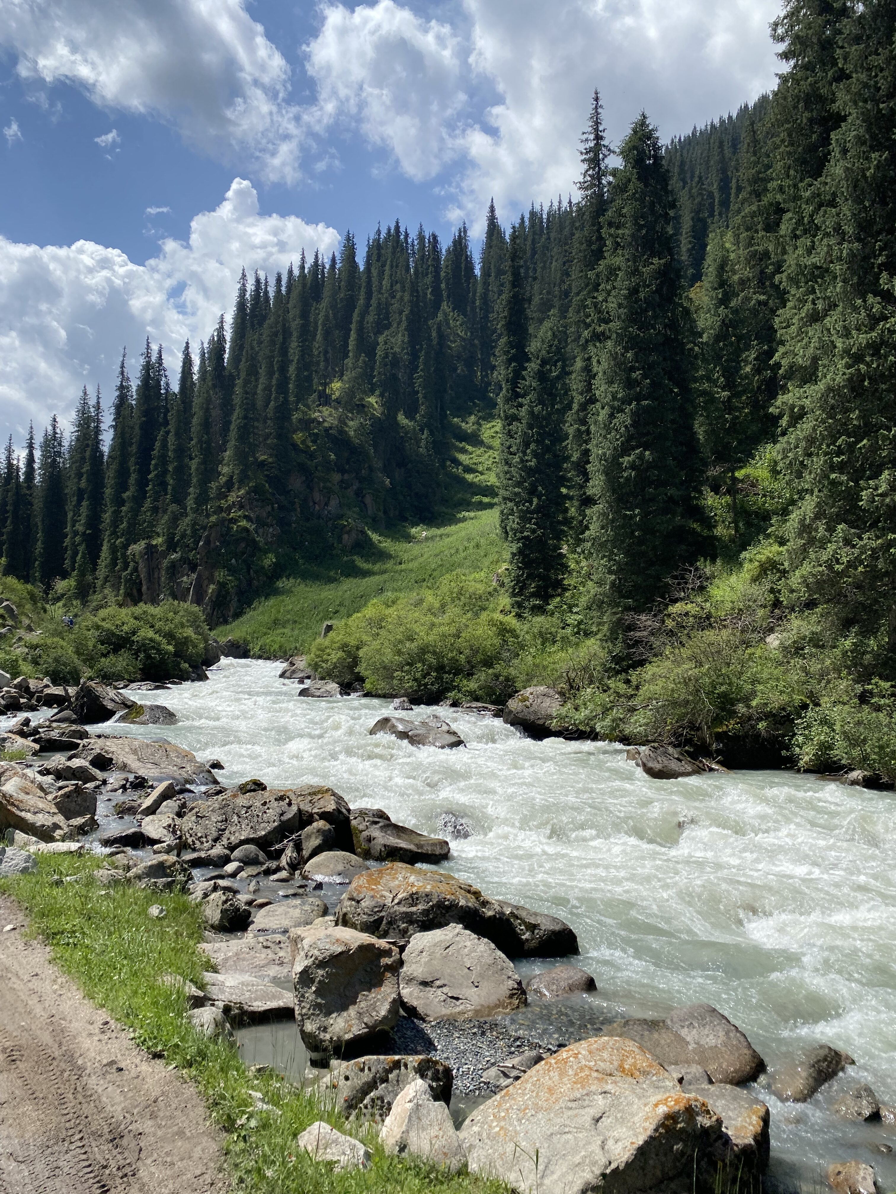 A river leading to Altyn Arashan, surrounded by rocks along the bank and tall pine trees with a cloudy blue sky.