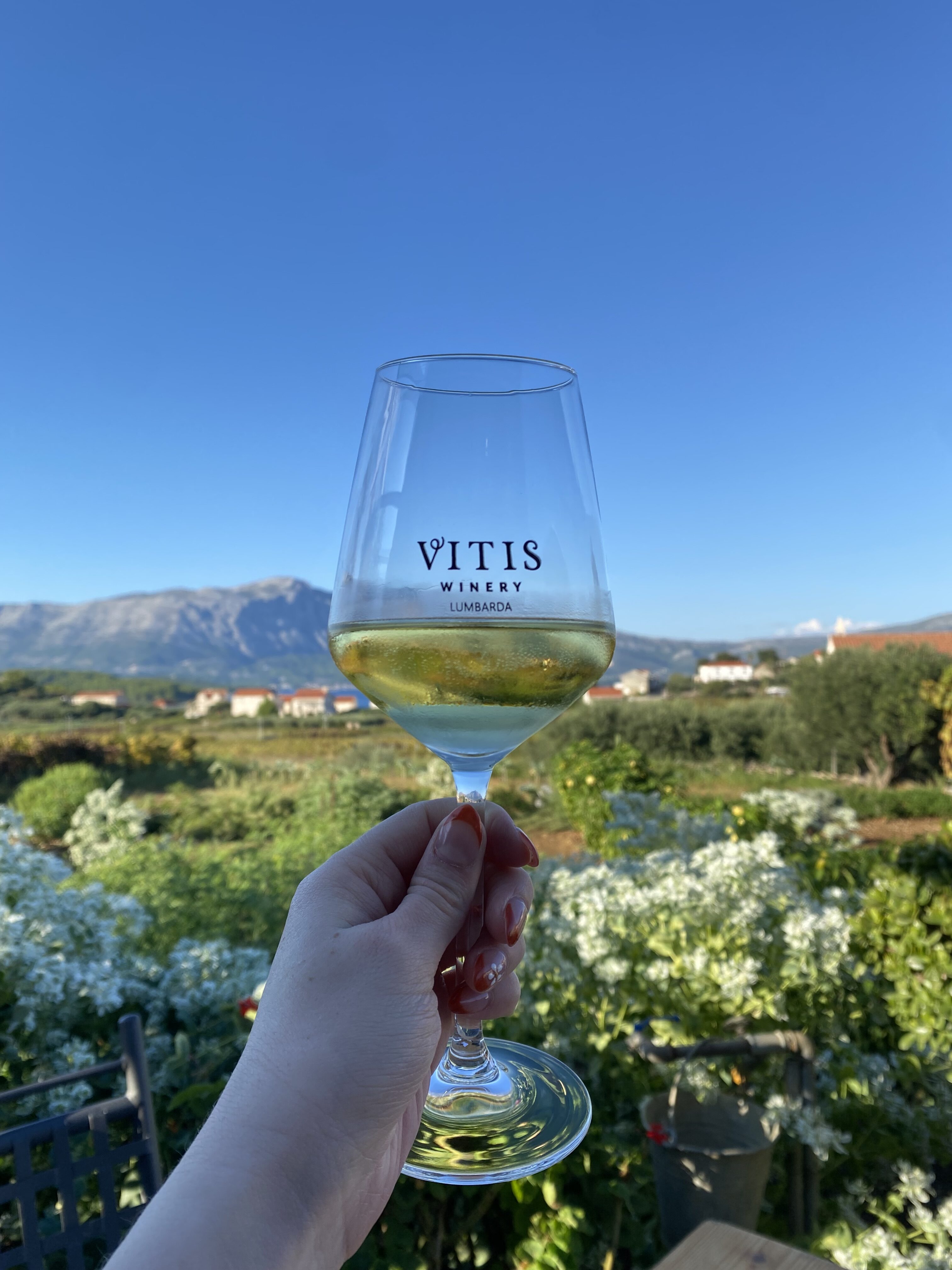 A glass of wine in front of the beautiful Vitis Winery, Korčula.