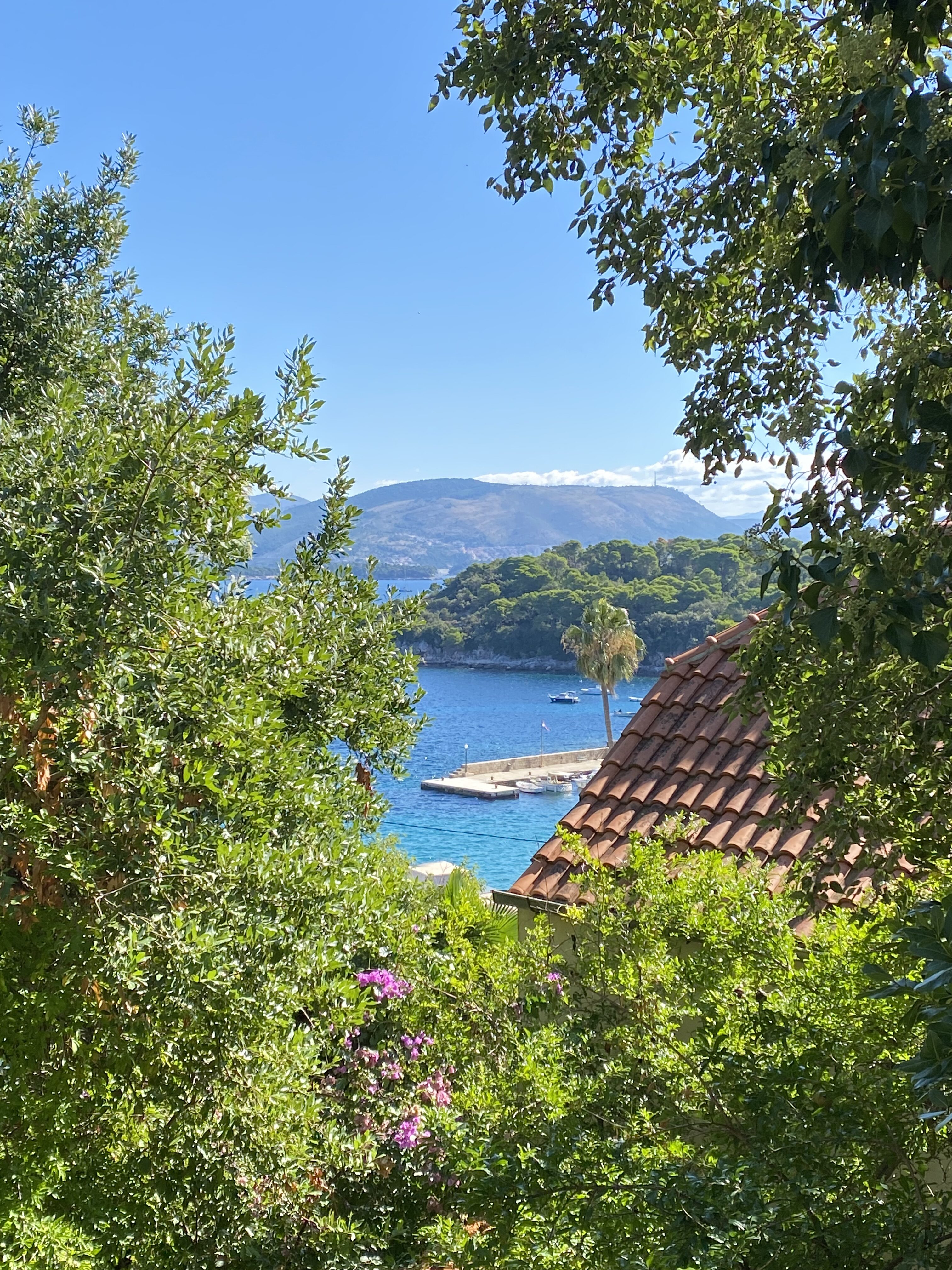 The Adriatic peeking through green trees on Koločep Island.