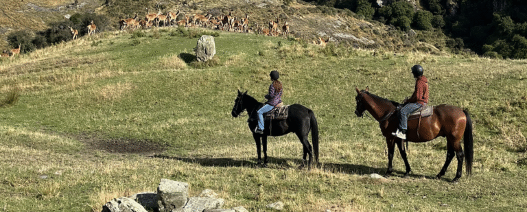 Horseback riders in Wanaka, New Zealand stopped in front of a herd of elk.