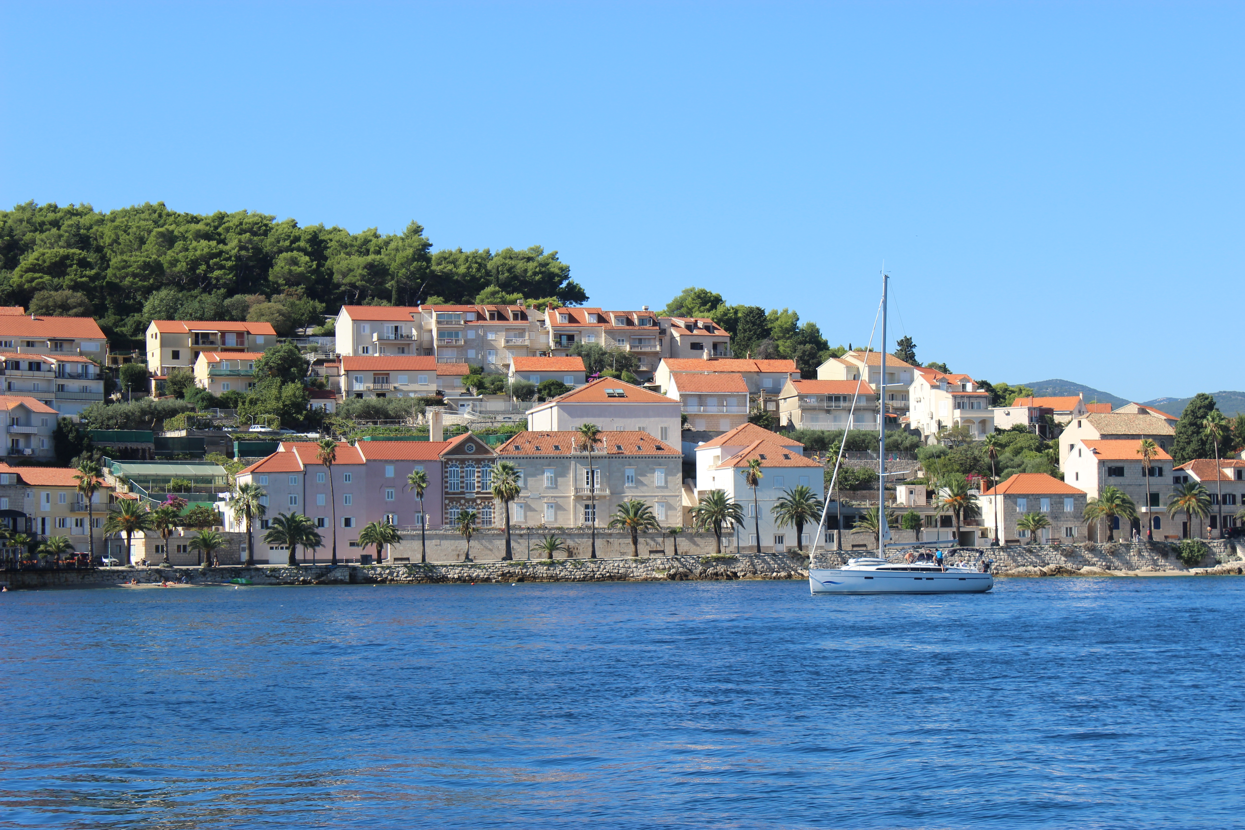 A sailboat cruising along the Adriatic Sea in front of Korčula Island and the orange-roofed buildings.