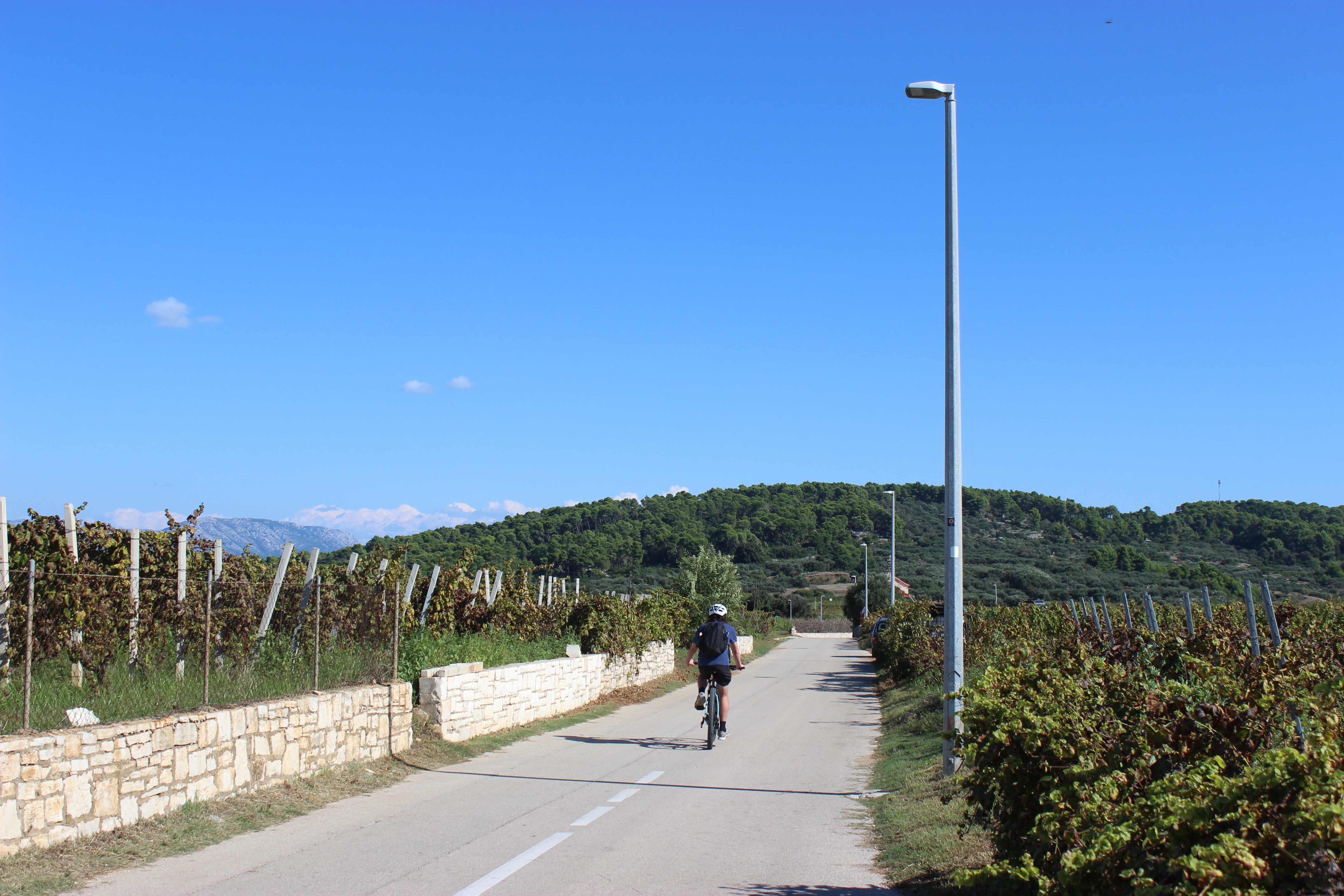 A casual cyclist riding through the wine region on Korčula Island.