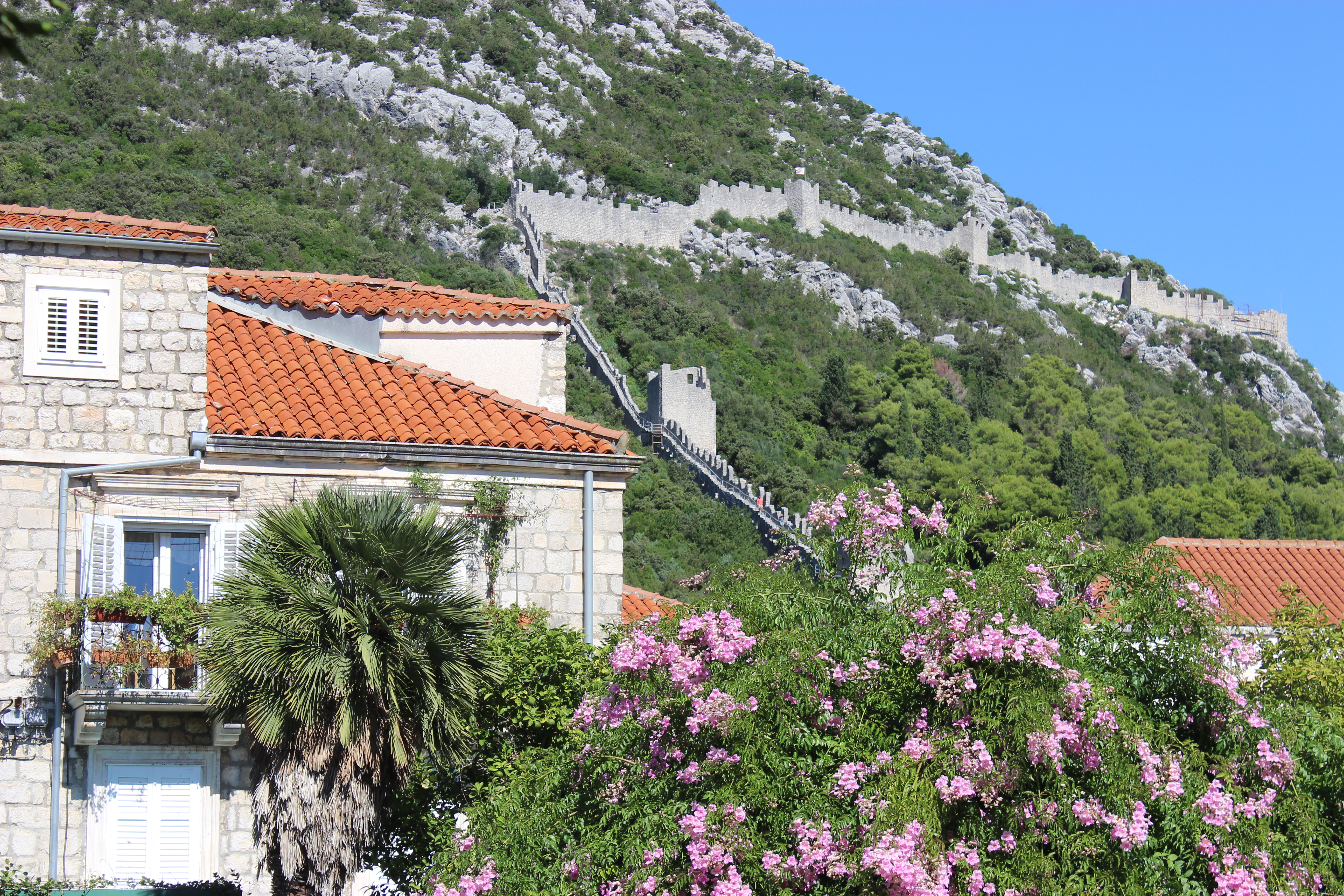 An orange-roofed, grey stone building with a palm tree and a vibrant bush with pink flowers, with the Ston Walls climbing the mountainside in the background.
