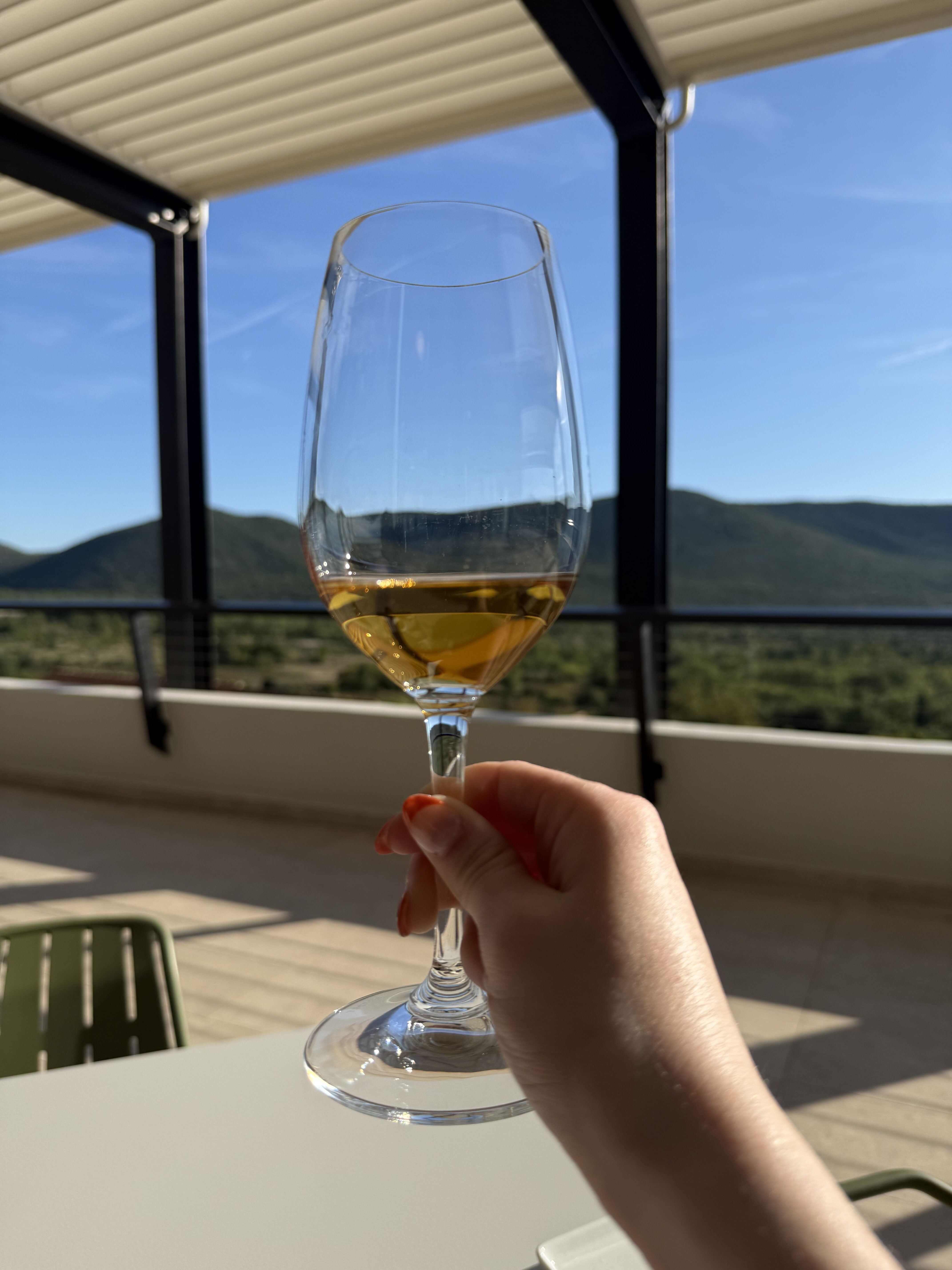 Hand holding glass of wine outdoors