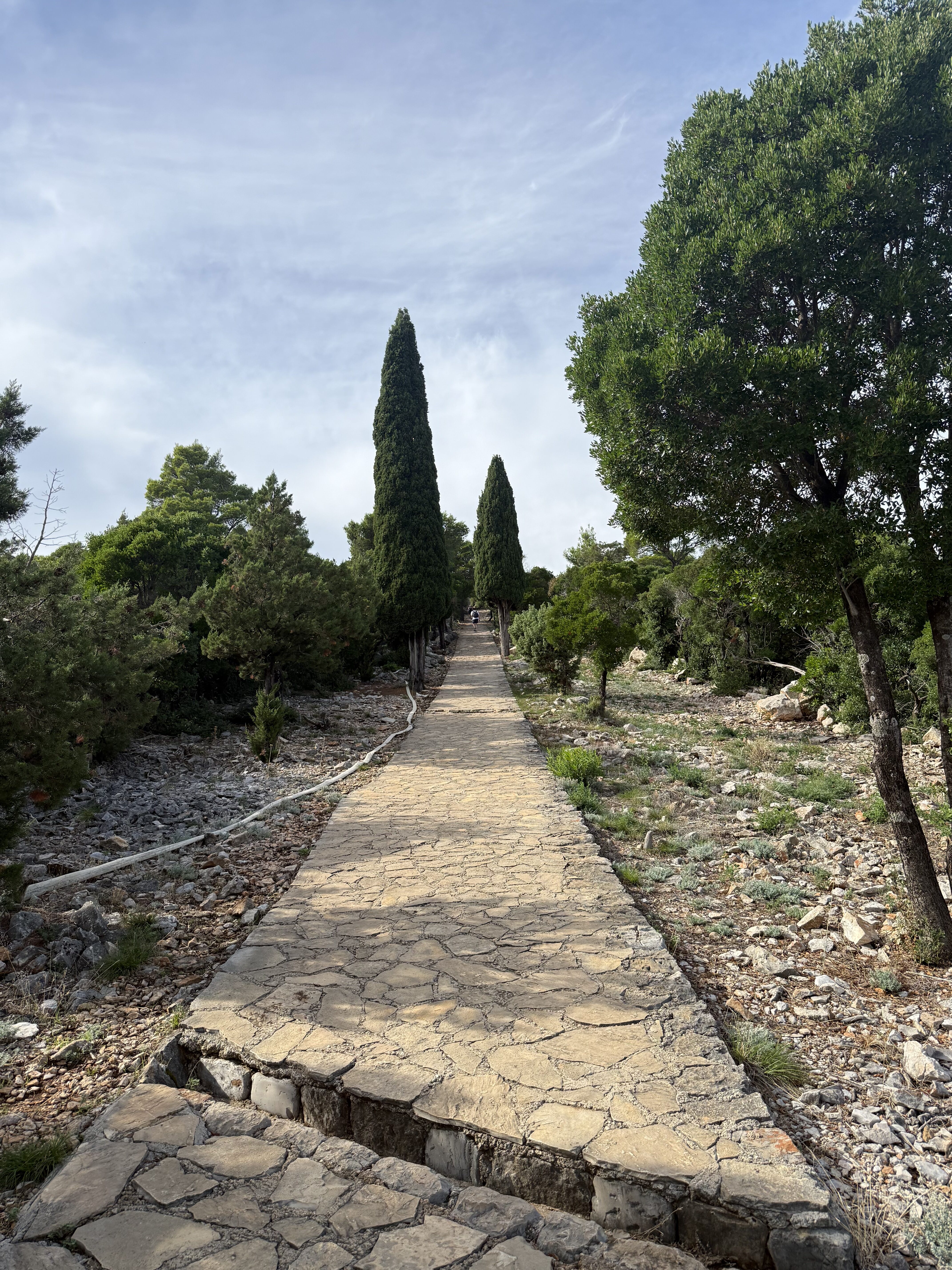 A stone pathway on Lokrum Island ascending to the island's highest point.