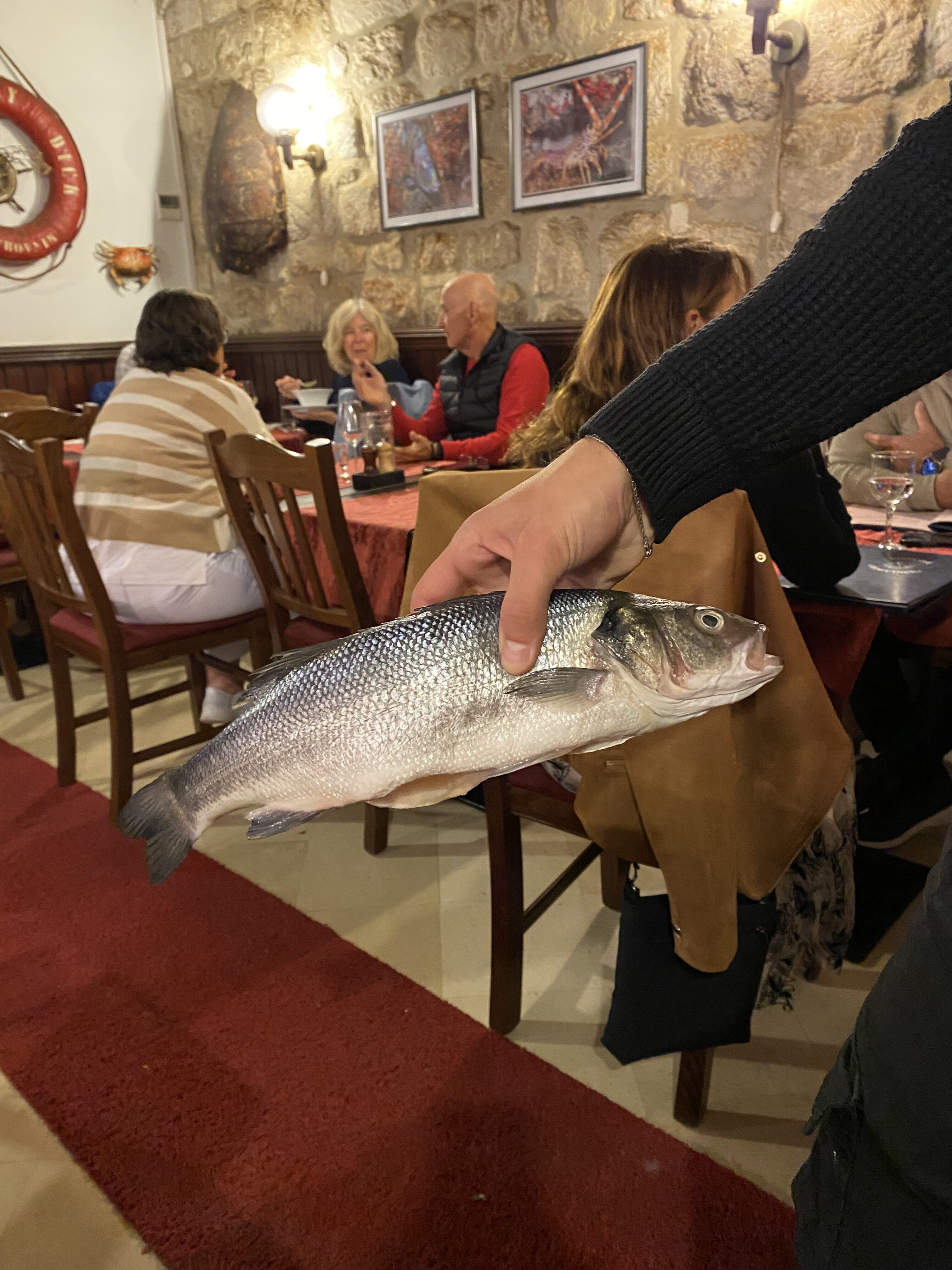 A waiter in a Dubrovnik restaurant holding a fresh-caught fish before it will be cooked for dinner.