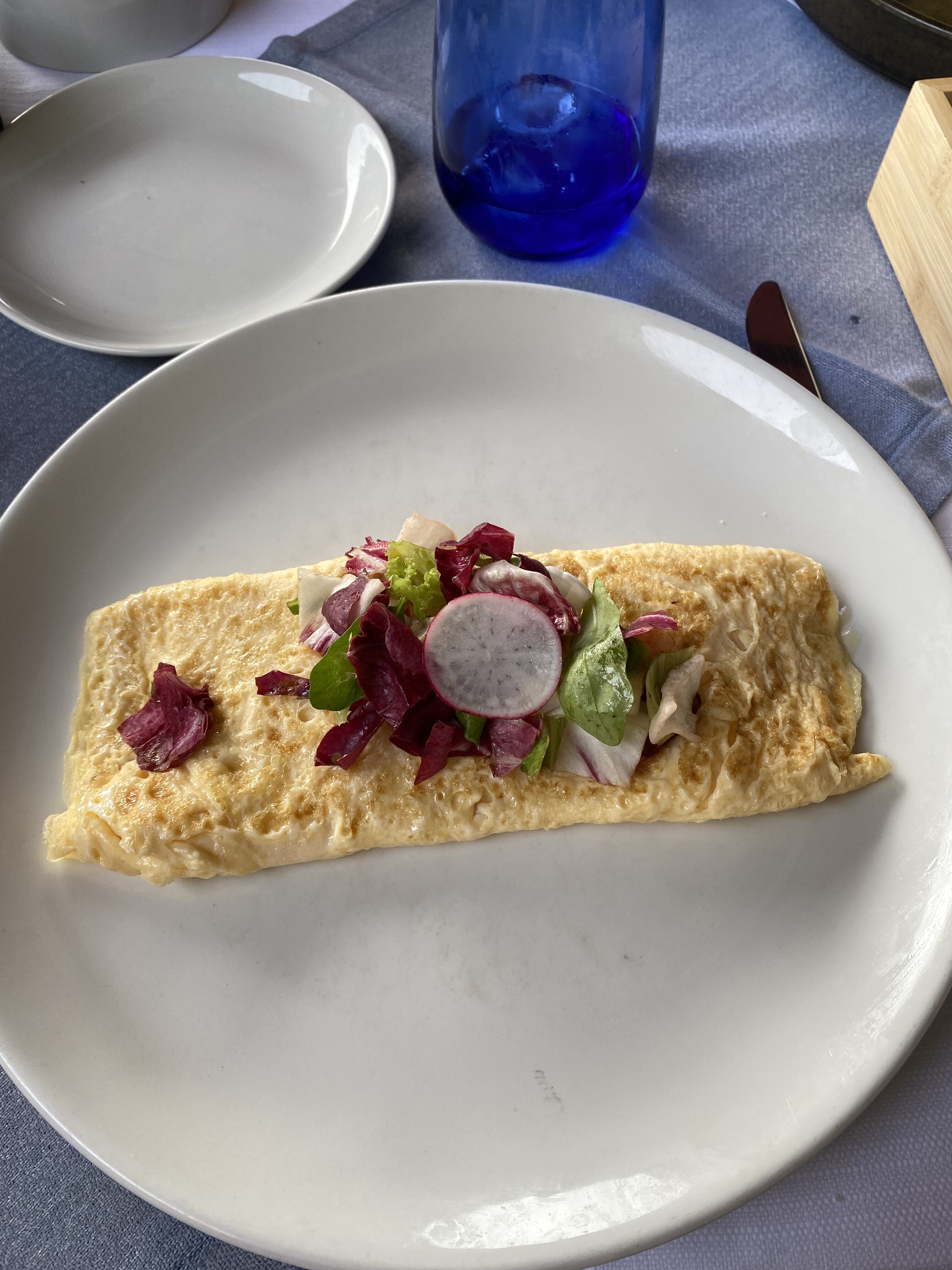 An omelette on a white plate with sliced radishes and greens on top.