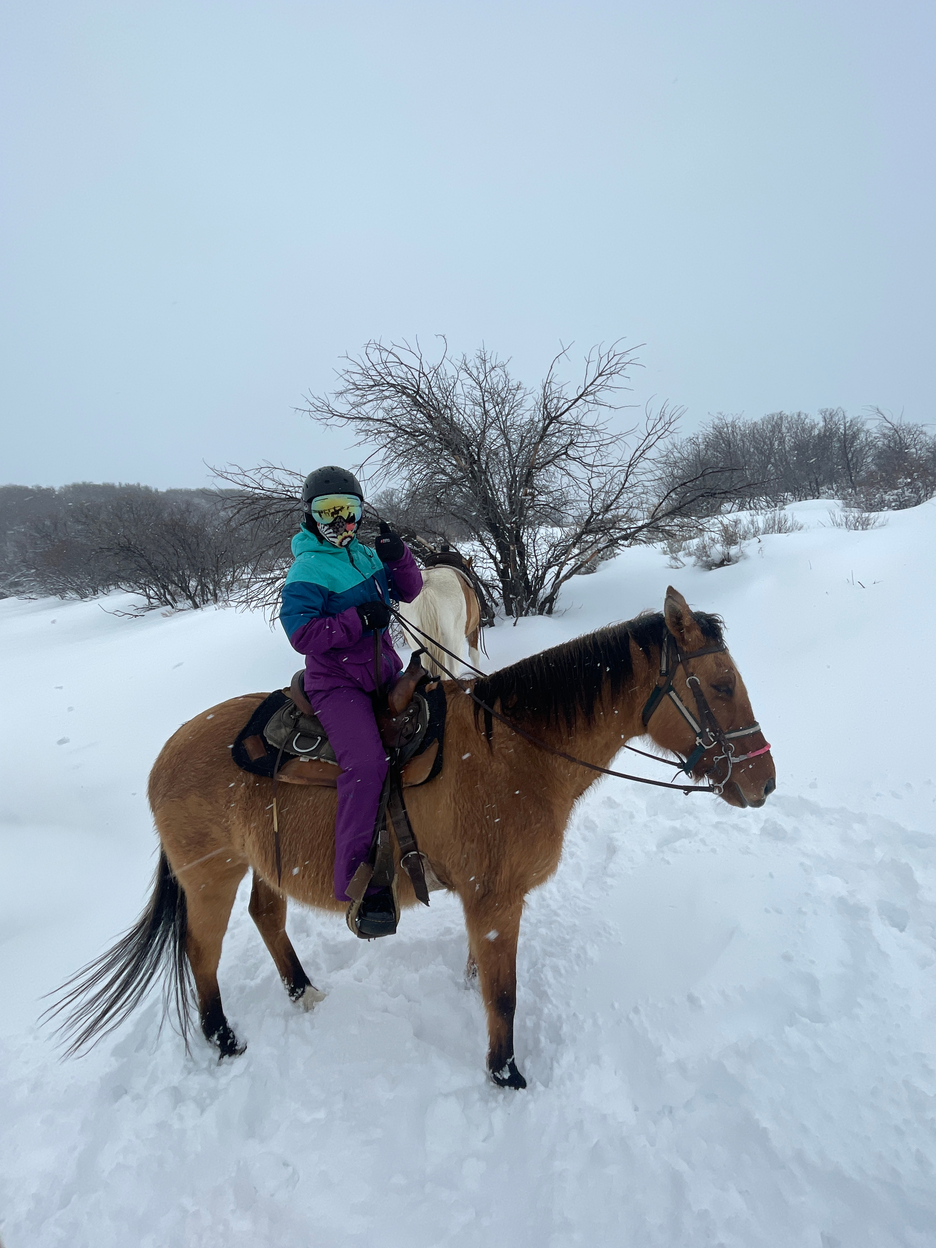 Horseback riding at Saddleback Ranch, Steamboat Springs, Colorado