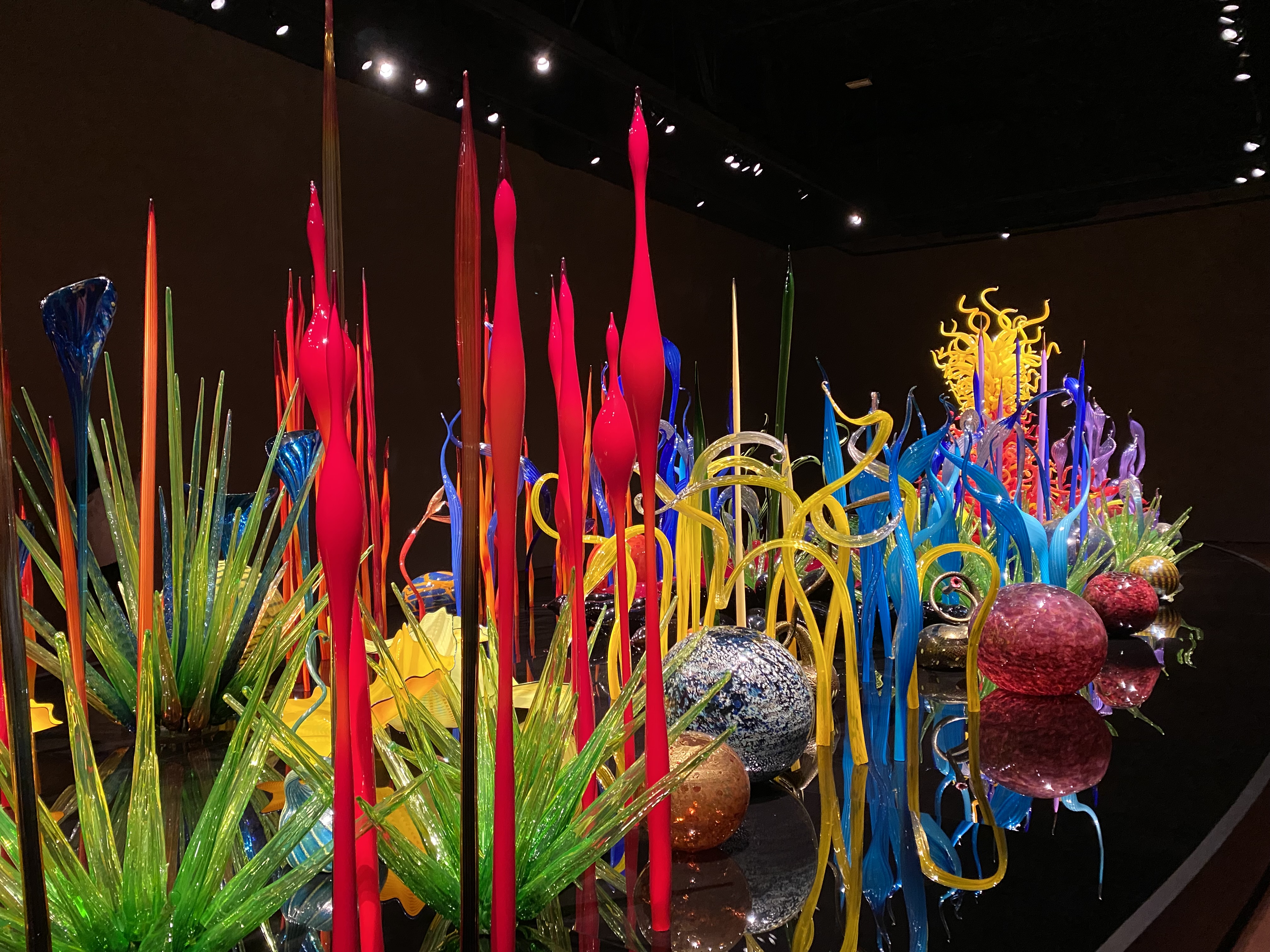 Vibrant, illuminated glass sculptures in a black room at the Chihuly Glass Museum.