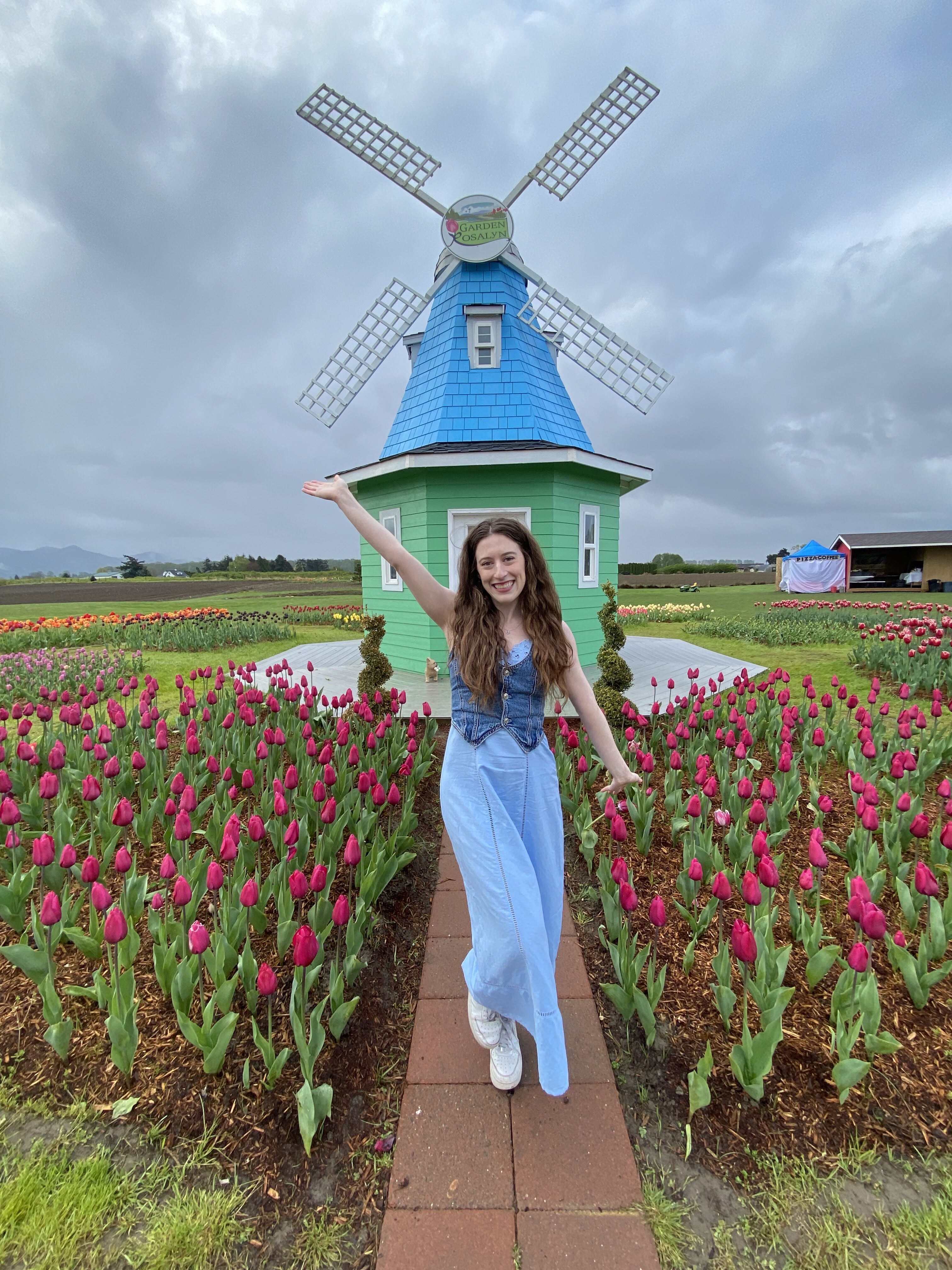 Garden Rosalyn blue and green windmill.