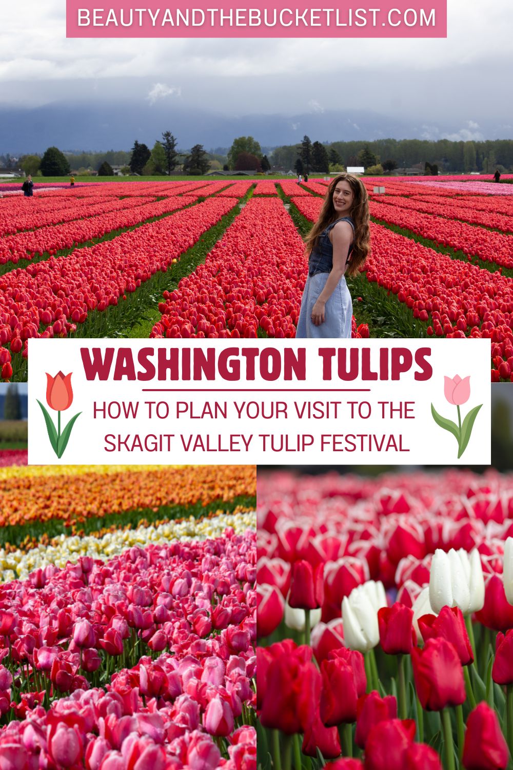 A colorful collage of Skagit Valley Tulip Festival photos including a woman smiling in front of the red tulip field at RoozenGaarde, and photos of colorful tulips. The text reads, "Washington Tulips, How to Plan Your Visit to the Skagit Valley Tulip Festival" with tulip graphics.
