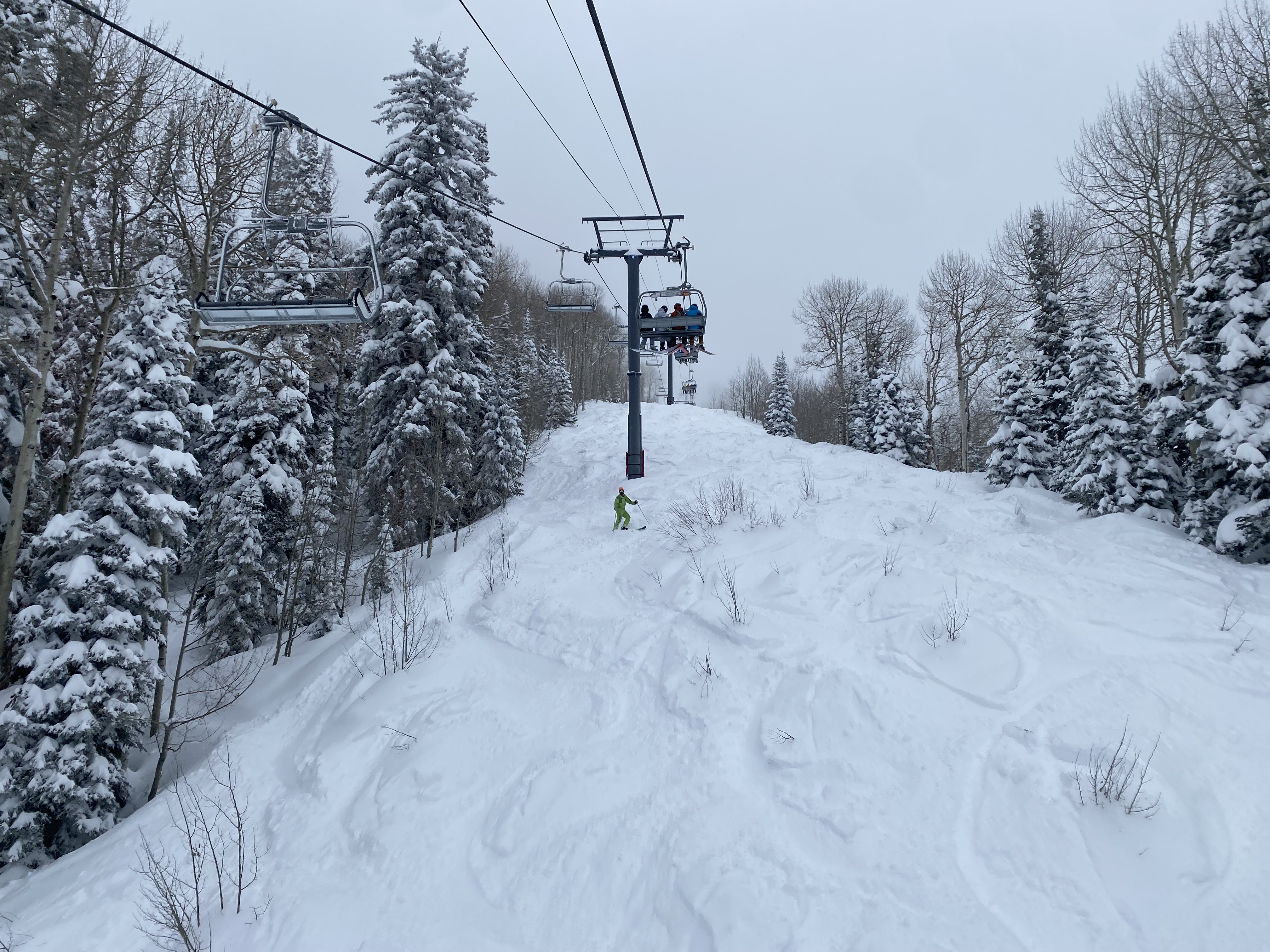 Tree-lined ski run at Steamboat Ski Resort.