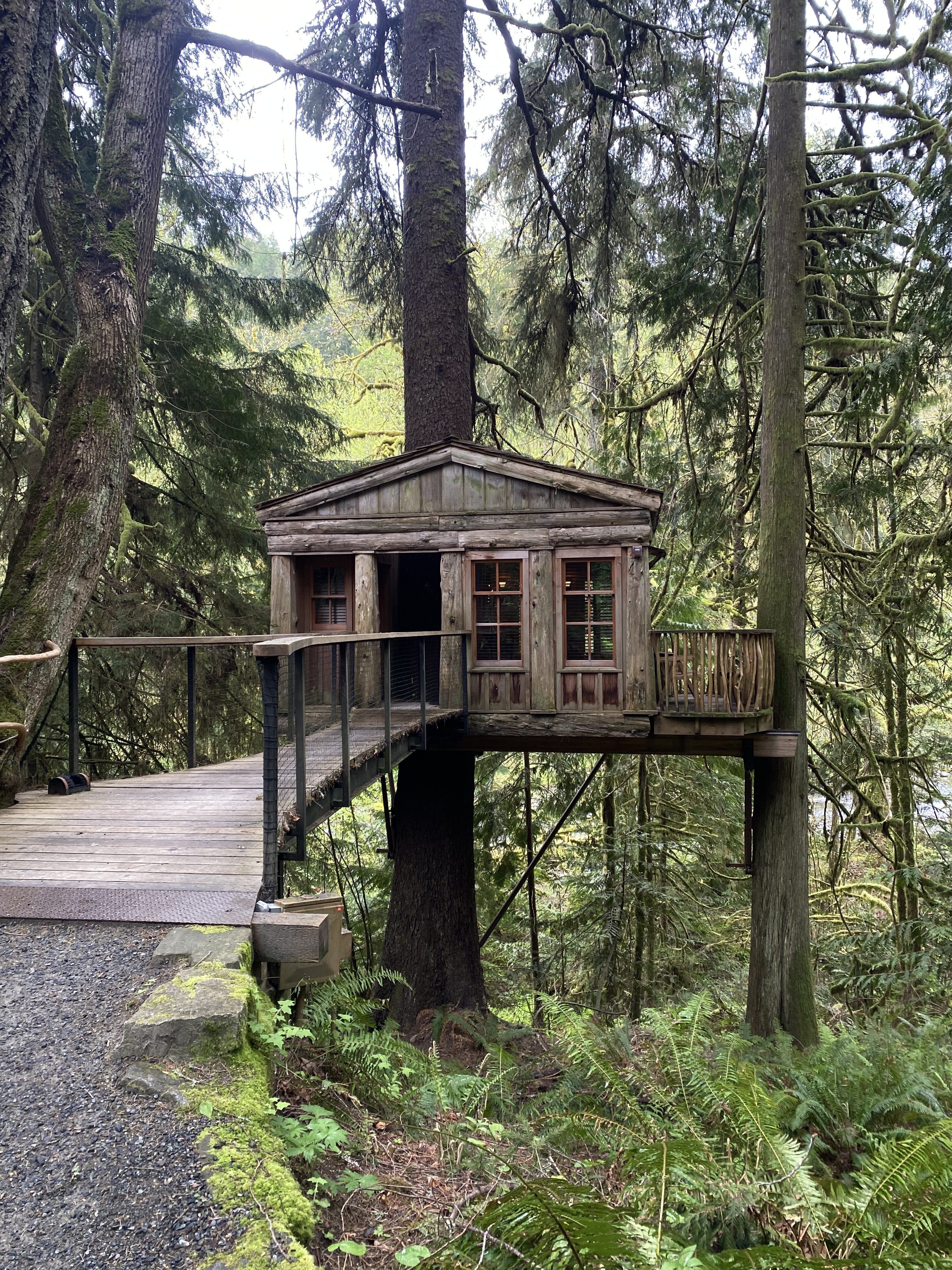 Temple of the Blue Moon, Treehouse Point (Issaquah, Washington)