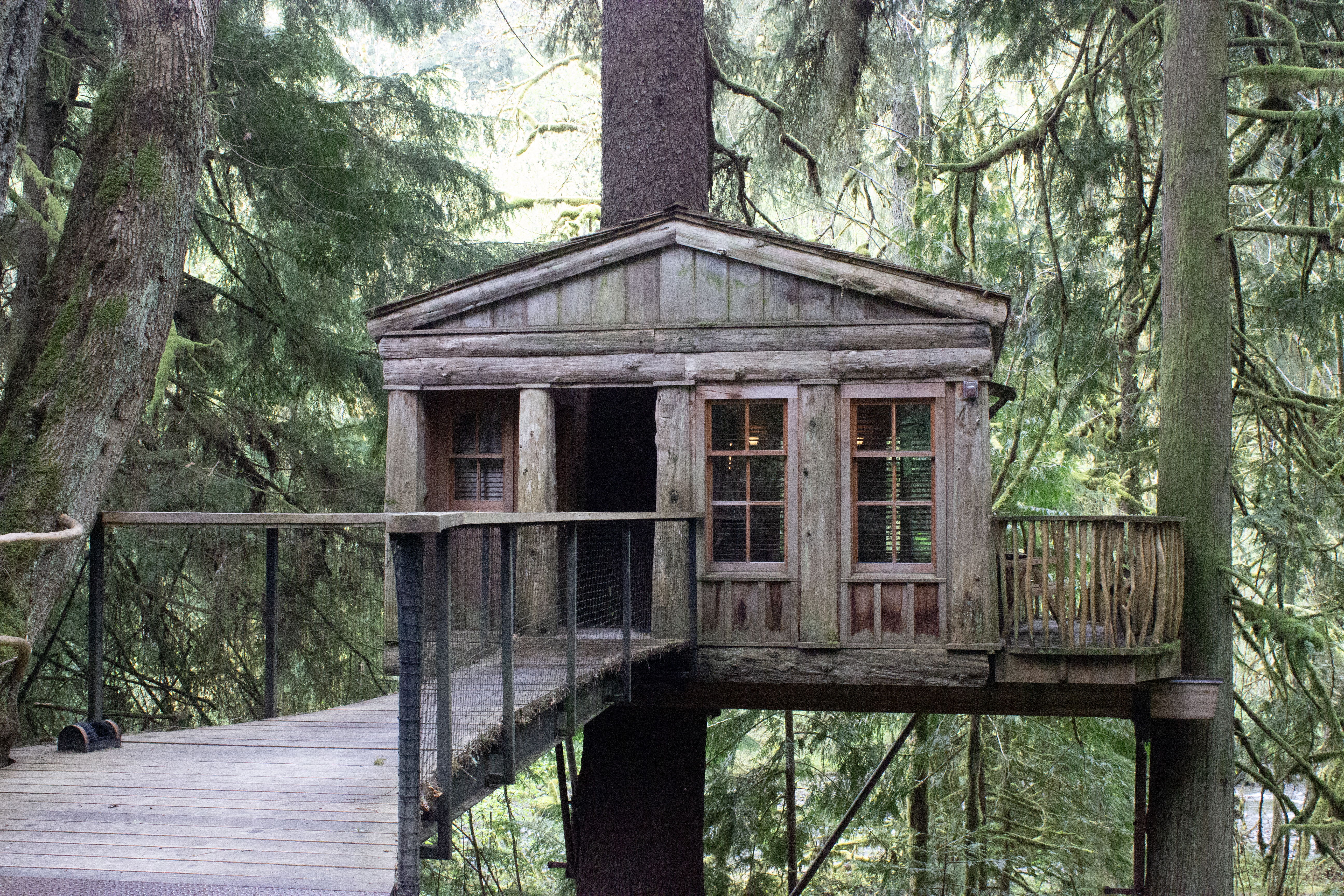 Temple of the Blue Moon, Treehouse Point