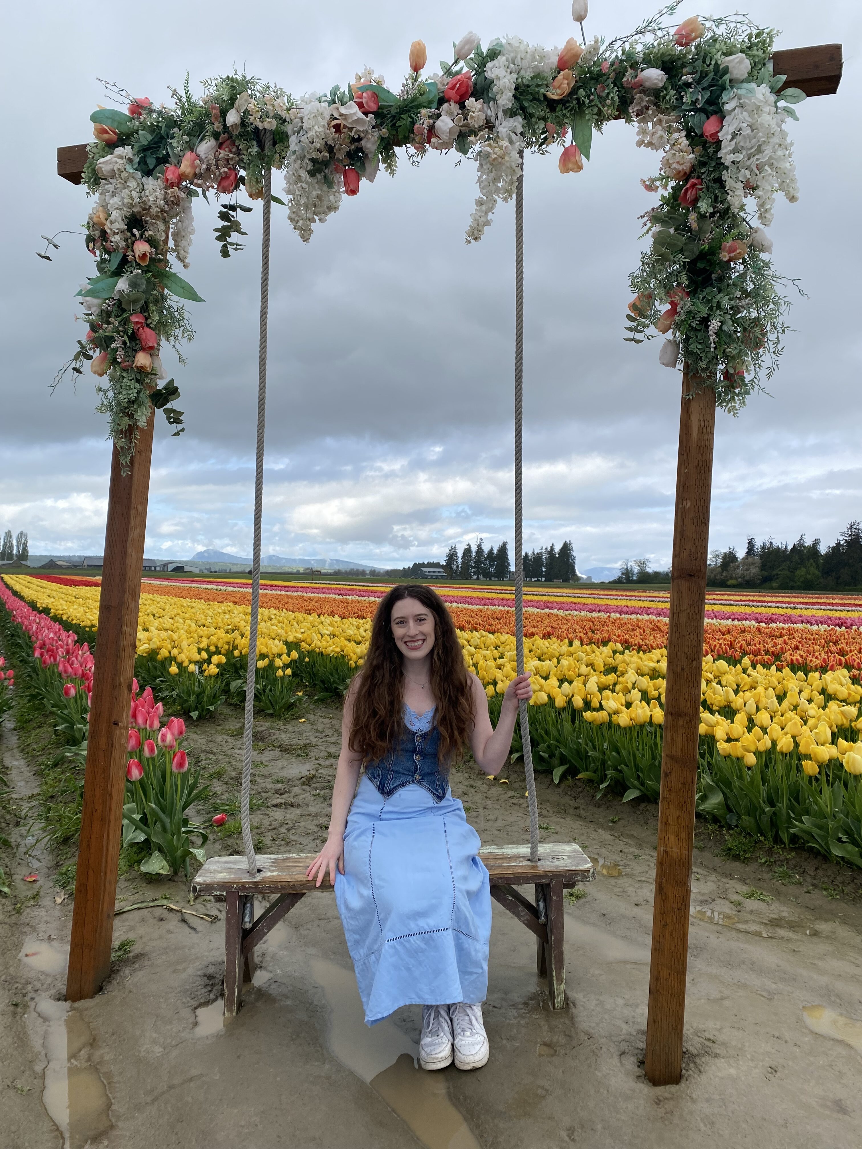 Scenic swing at Tulip Town field in Mount Vernon Washington.